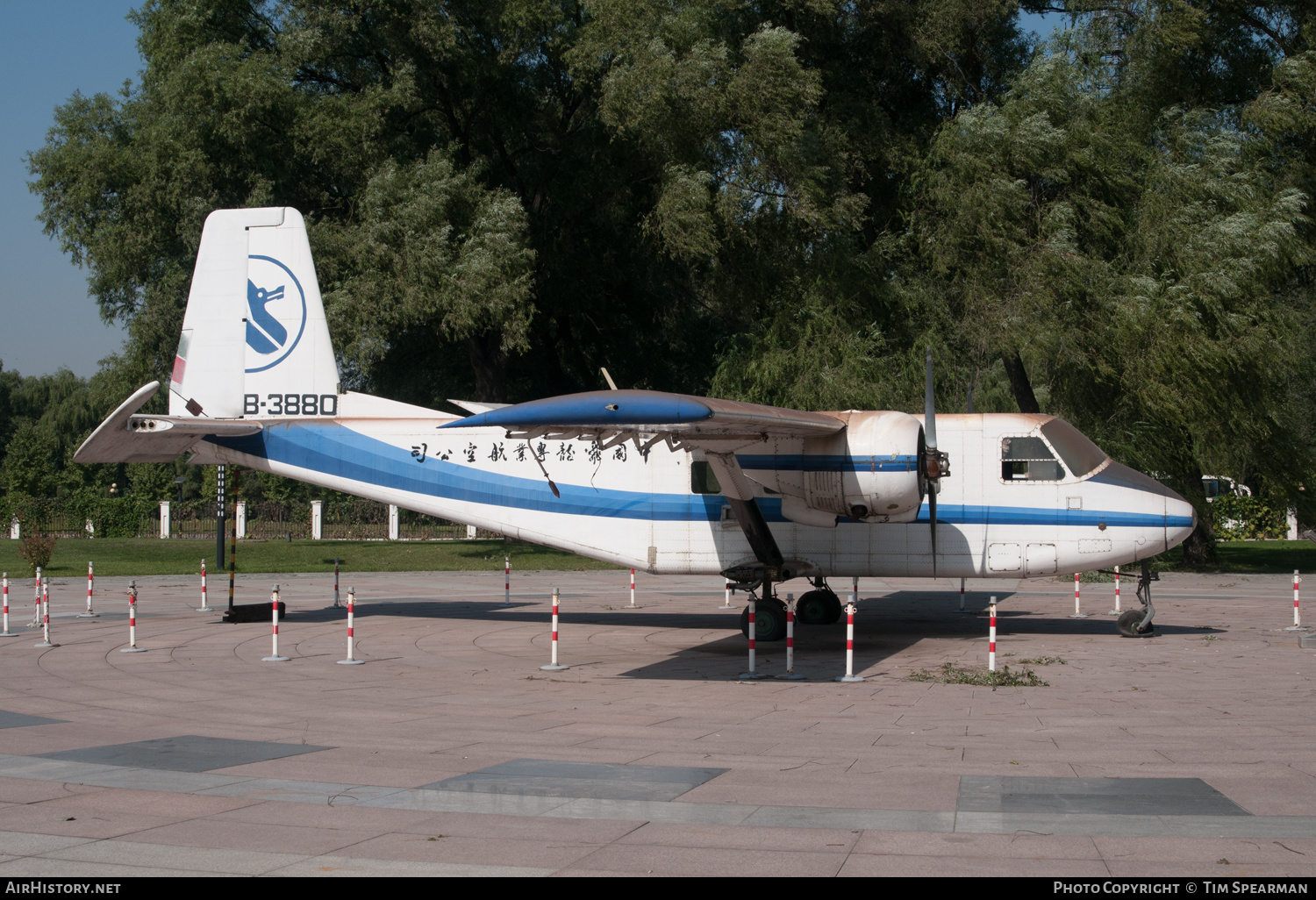 Aircraft Photo of B-3880 | Harbin Y11 | China Flying Dragon Aviation | AirHistory.net #399974