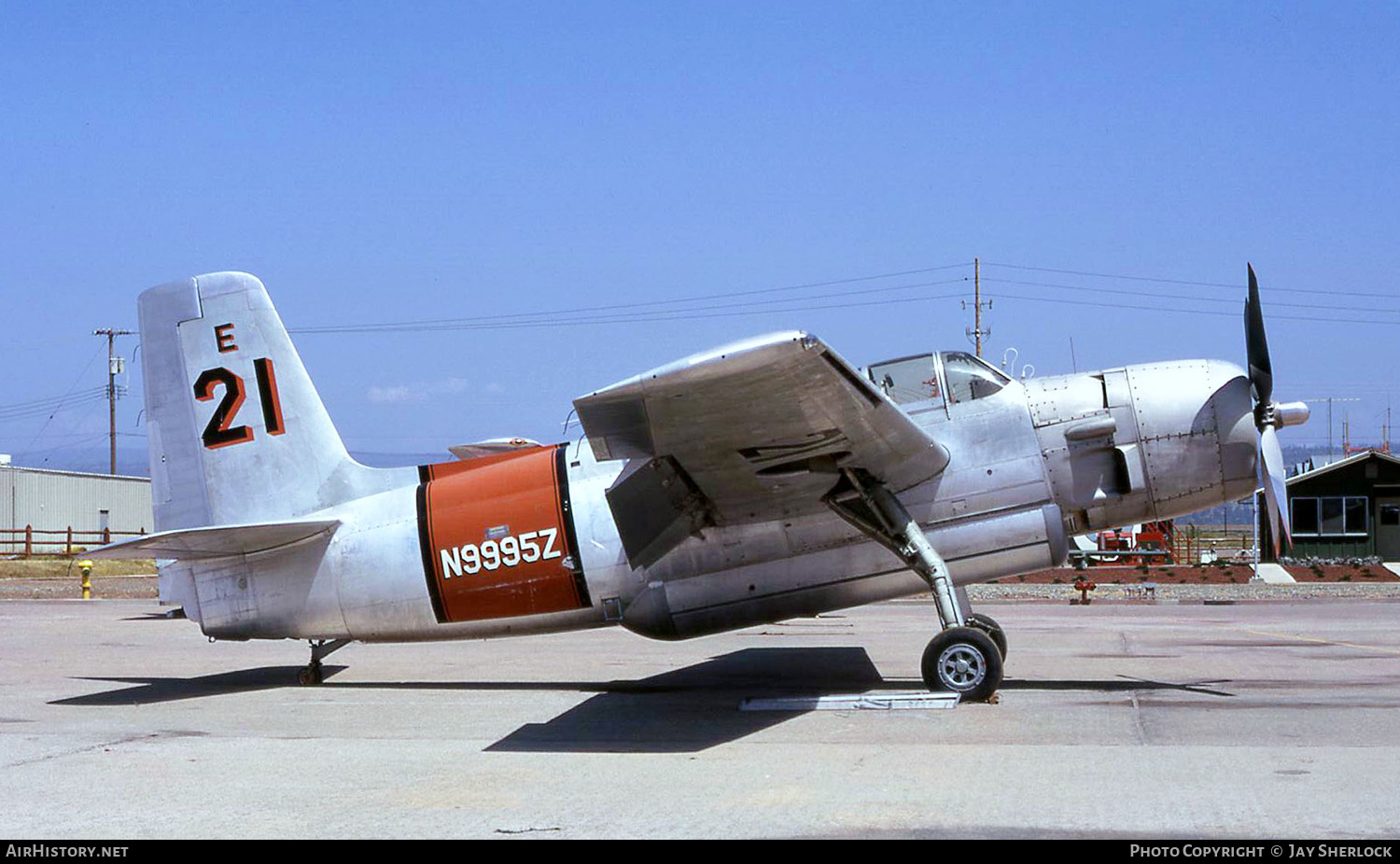 Aircraft Photo of N9995Z | Grumman AF-2S/AT Guardian | AirHistory.net #400154