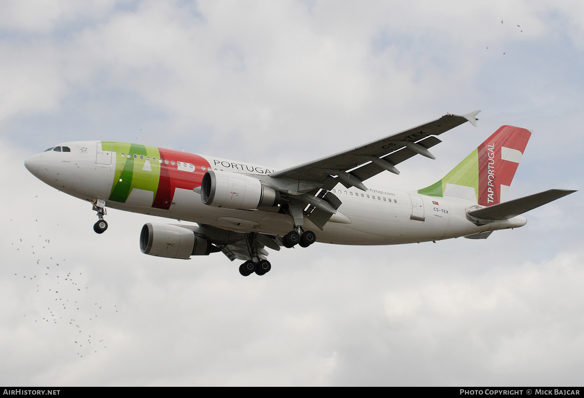 Aircraft Photo of CS-TEX | Airbus A310-304 | TAP Portugal | AirHistory.net #401914