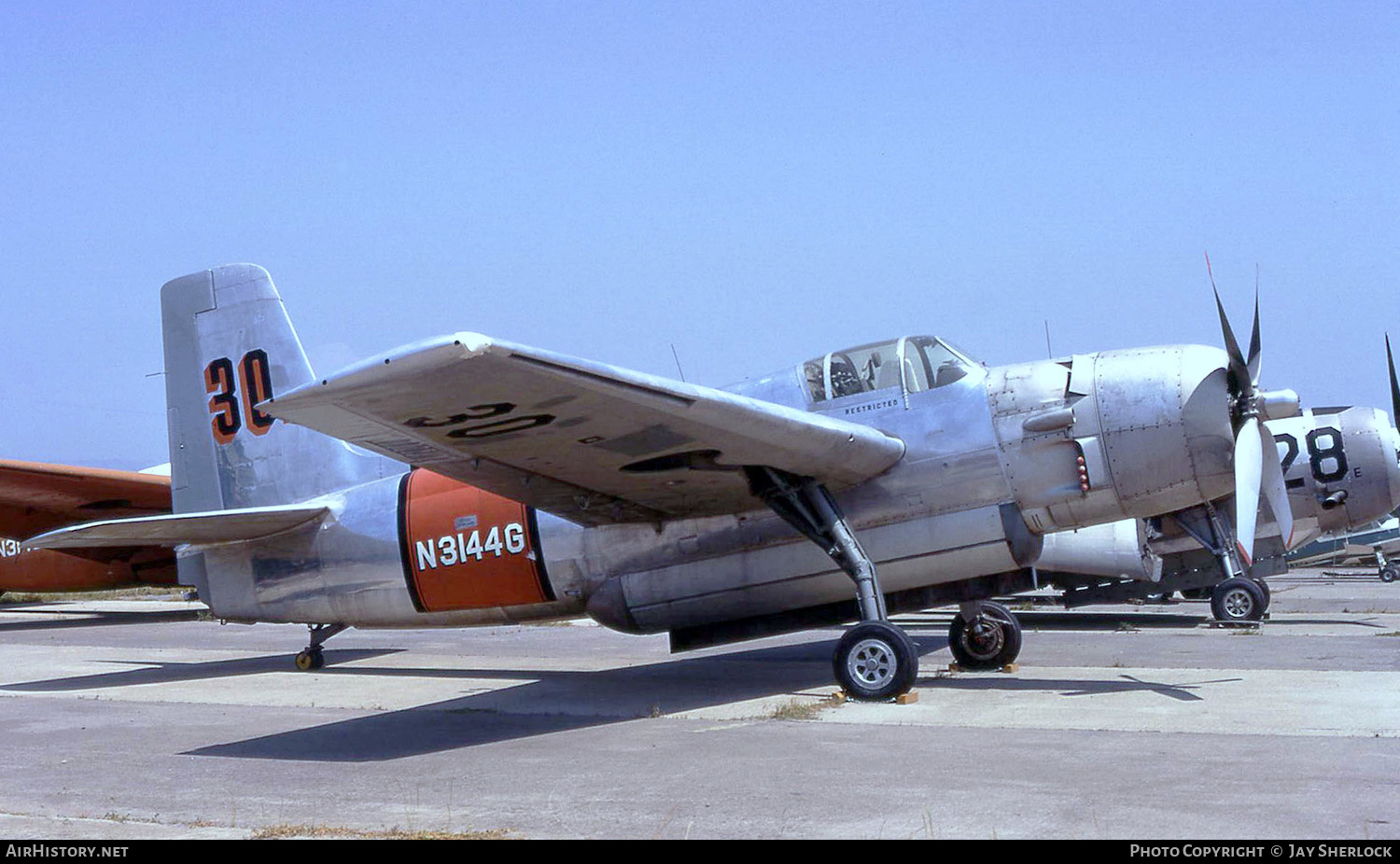 Aircraft Photo of N3144G | Grumman AF-2S/AT Guardian | AirHistory.net #403541