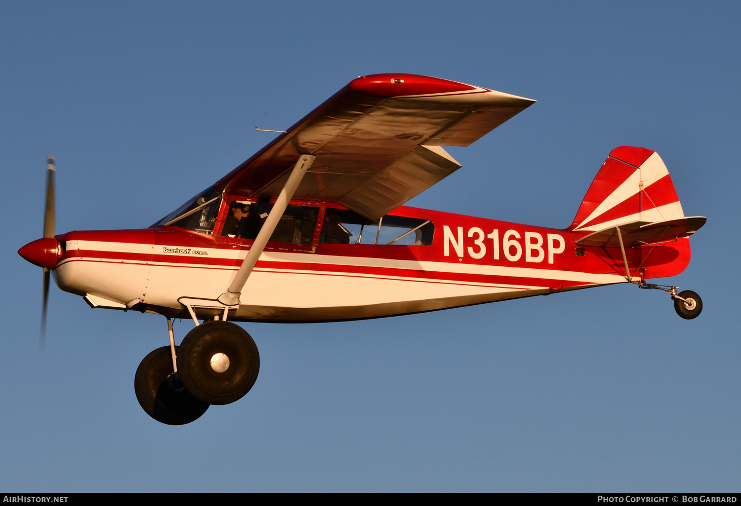 Aircraft Photo of N316BP | AviPro Bearhawk Patrol | AirHistory.net #403807