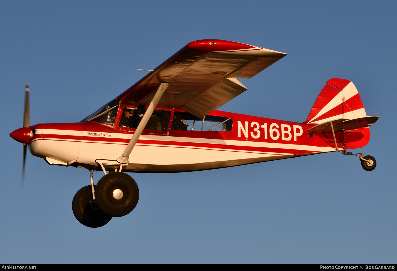 Aircraft Photo of N316BP | AviPro Bearhawk Patrol | AirHistory.net #403807
