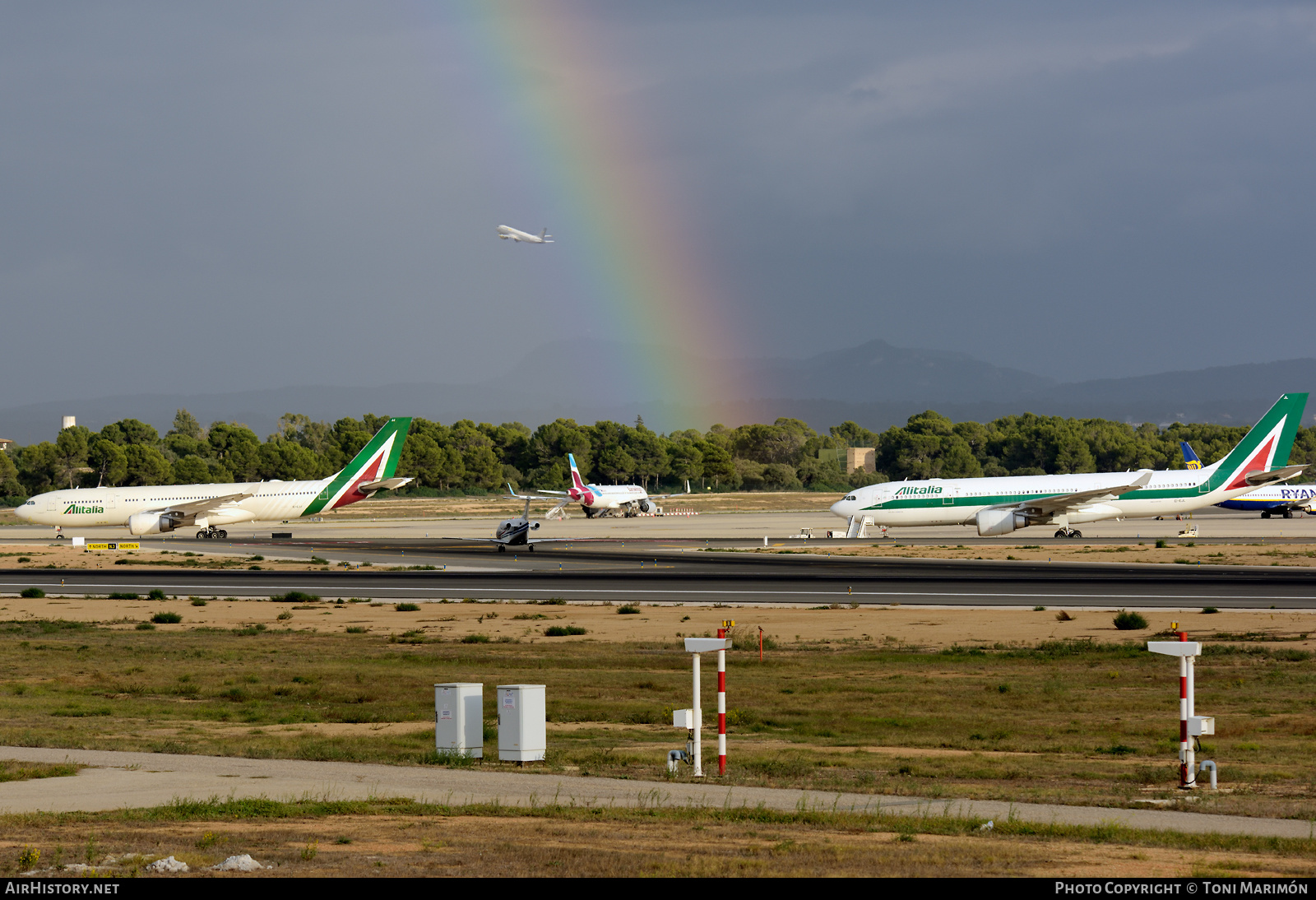 Aircraft Photo of EI-EJJ | Airbus A330-202 | Alitalia | AirHistory.net #405816