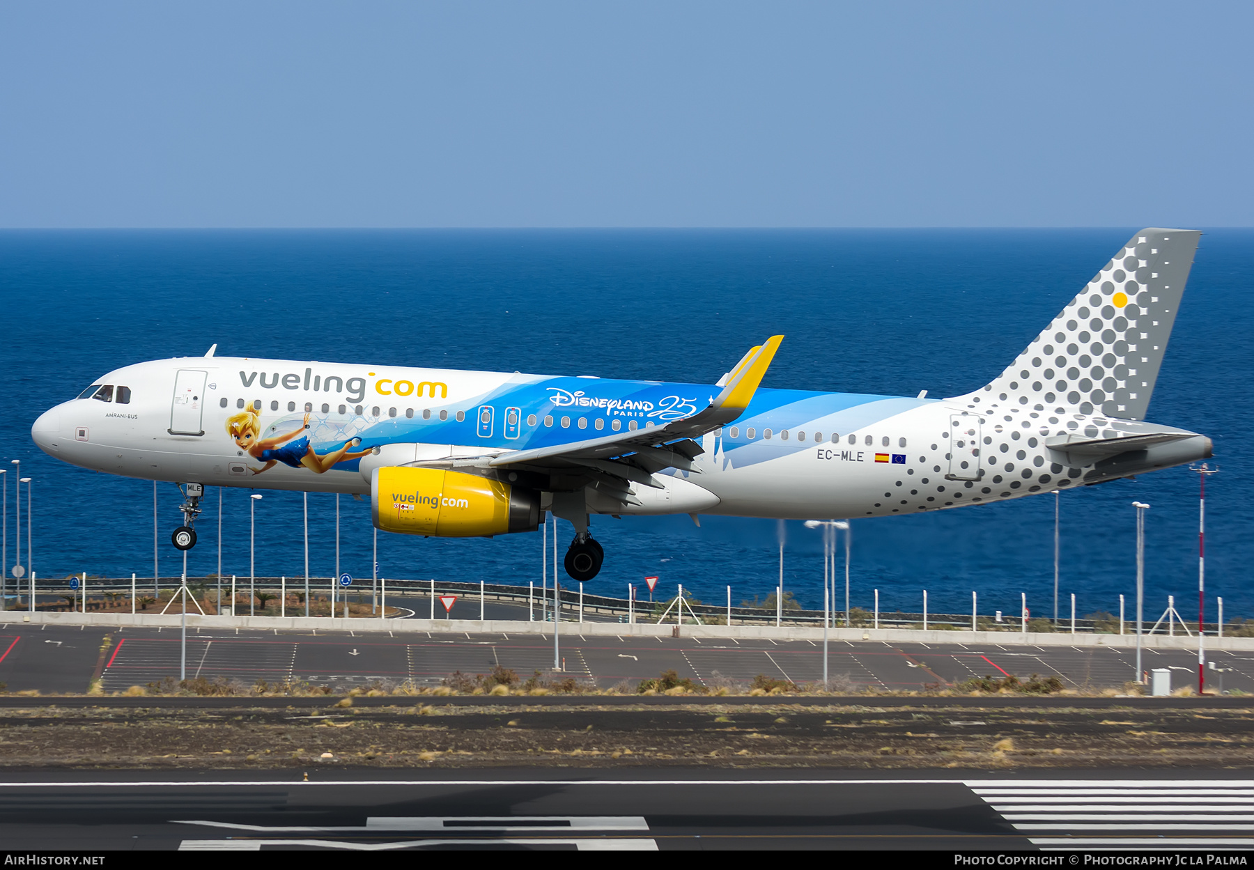 Aircraft Photo of EC-MLE | Airbus A320-232 | Vueling Airlines | AirHistory.net #405987