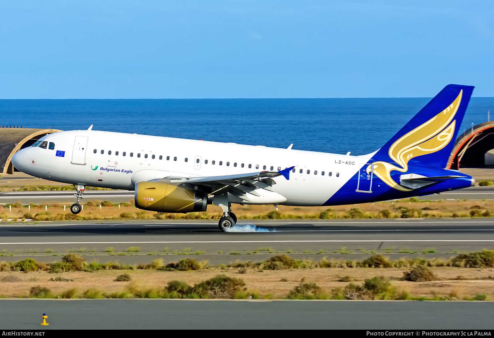 Aircraft Photo of LZ-AOC | Airbus A319-132 | Bulgarian Eagle | AirHistory.net #406186