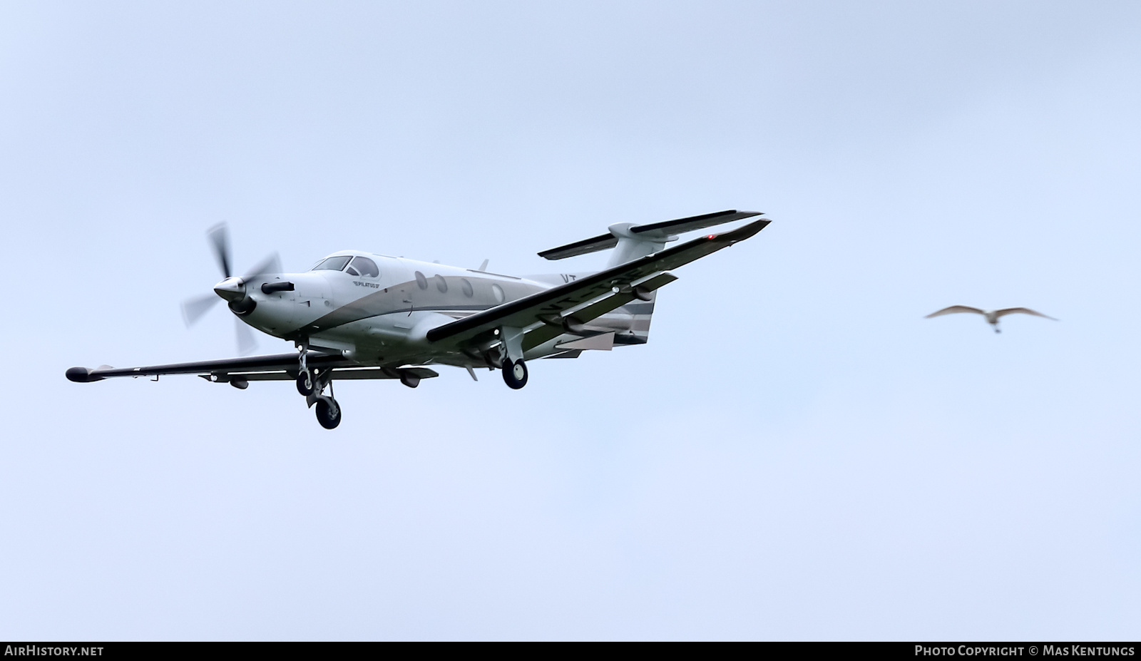 Aircraft Photo of VT-TRE | Pilatus PC-12NG (PC-12/47E) | AirHistory.net #406904