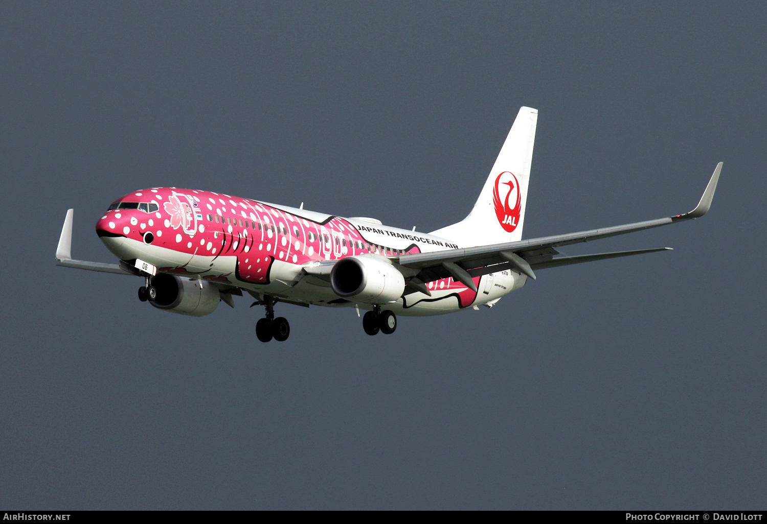 Aircraft Photo of JA06RK | Boeing 737-800 | Japan TransOcean Air - JTA | AirHistory.net #407052