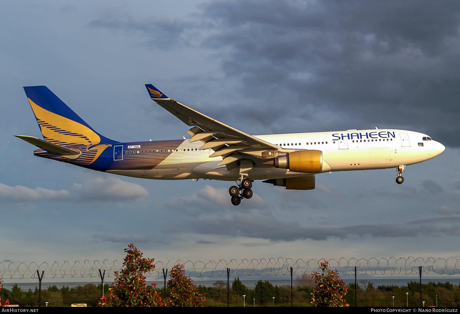 Aircraft Photo of AP-BML | Airbus A330-203 | Shaheen Air International | AirHistory.net #407201