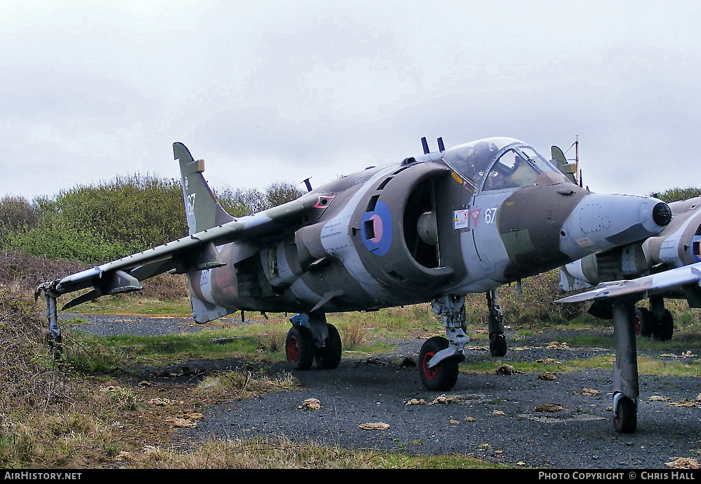 Aircraft Photo of ZD667 | Hawker Siddeley Harrier GR3 | UK - Air Force | AirHistory.net #407506