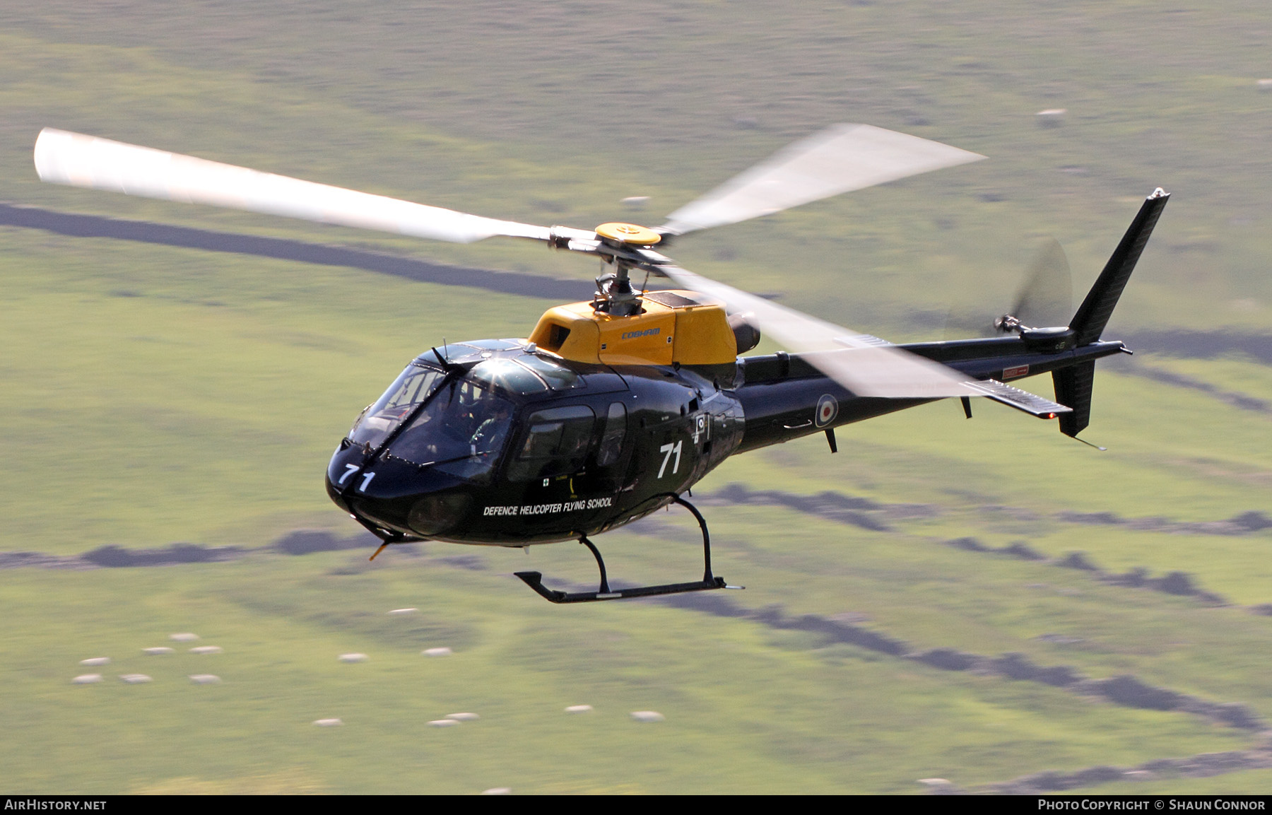 Aircraft Photo of ZJ271 | Eurocopter AS-350BB Squirrel HT1 | UK - Air Force | AirHistory.net #408068