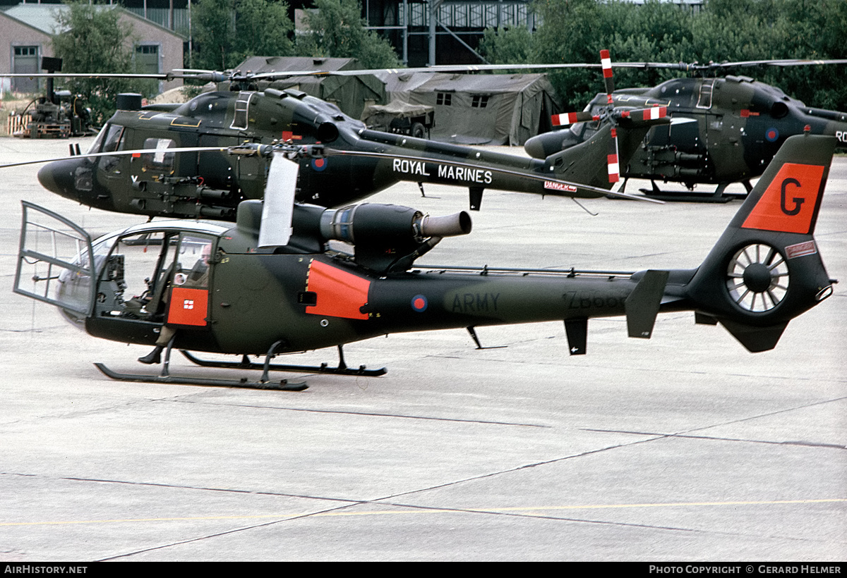 Aircraft Photo of ZB666 | Aerospatiale SA-341B Gazelle AH1 | UK - Army | AirHistory.net #408188