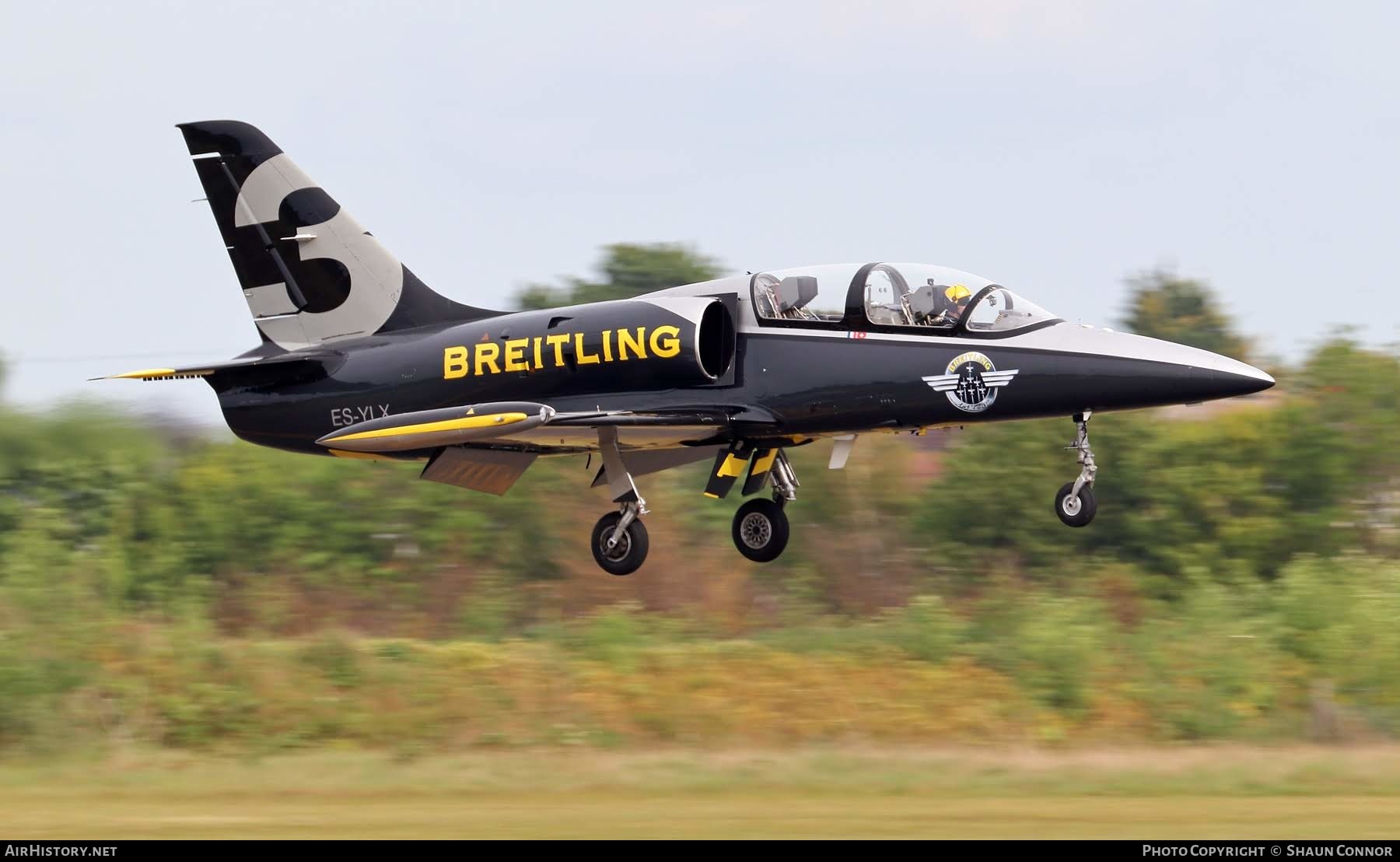 Aircraft Photo of ES-YLX | Aero L-39C Albatros | Breitling | AirHistory.net #408315