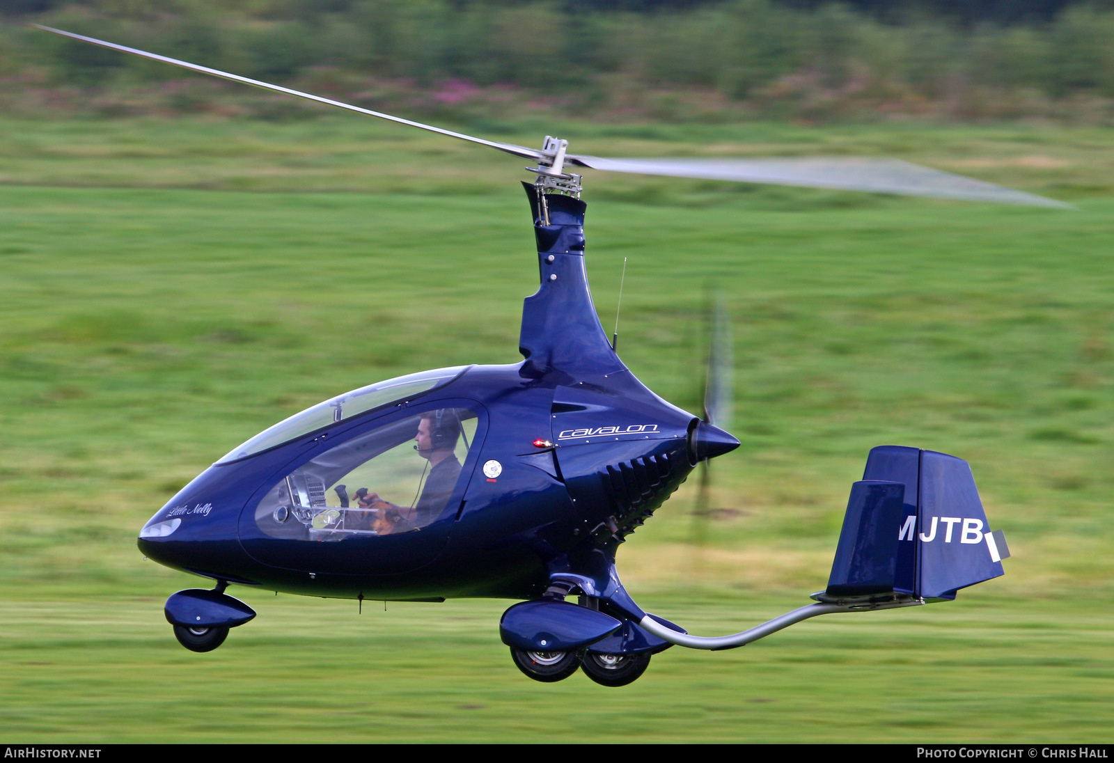 Aircraft Photo of D-MJTB | AutoGyro Cavalon 915 iS | AirHistory.net #411047