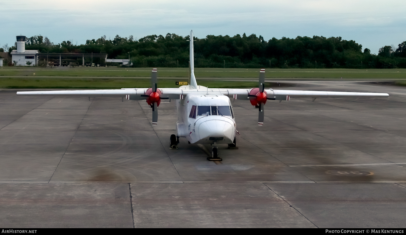 Aircraft Photo of PK-PCT | CASA C-212-200 Aviocar | Pelita Air Service | AirHistory.net #412499