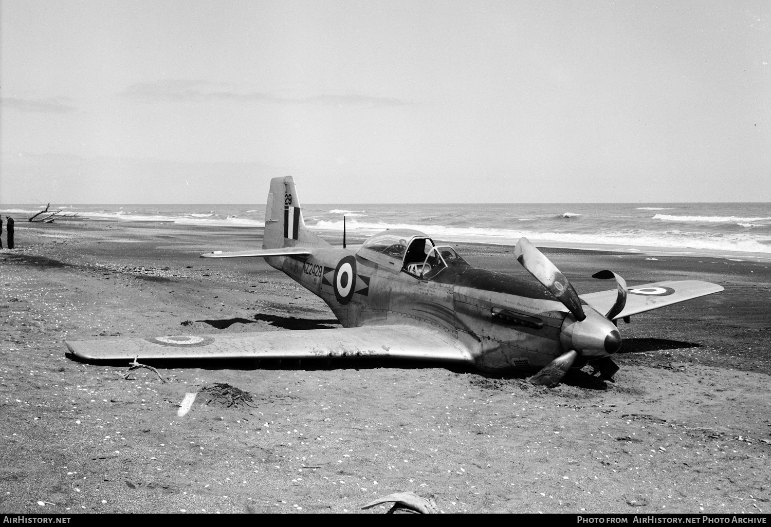 Aircraft Photo of NZ2429 | North American P-51D Mustang | New Zealand - Air Force | AirHistory.net #413286