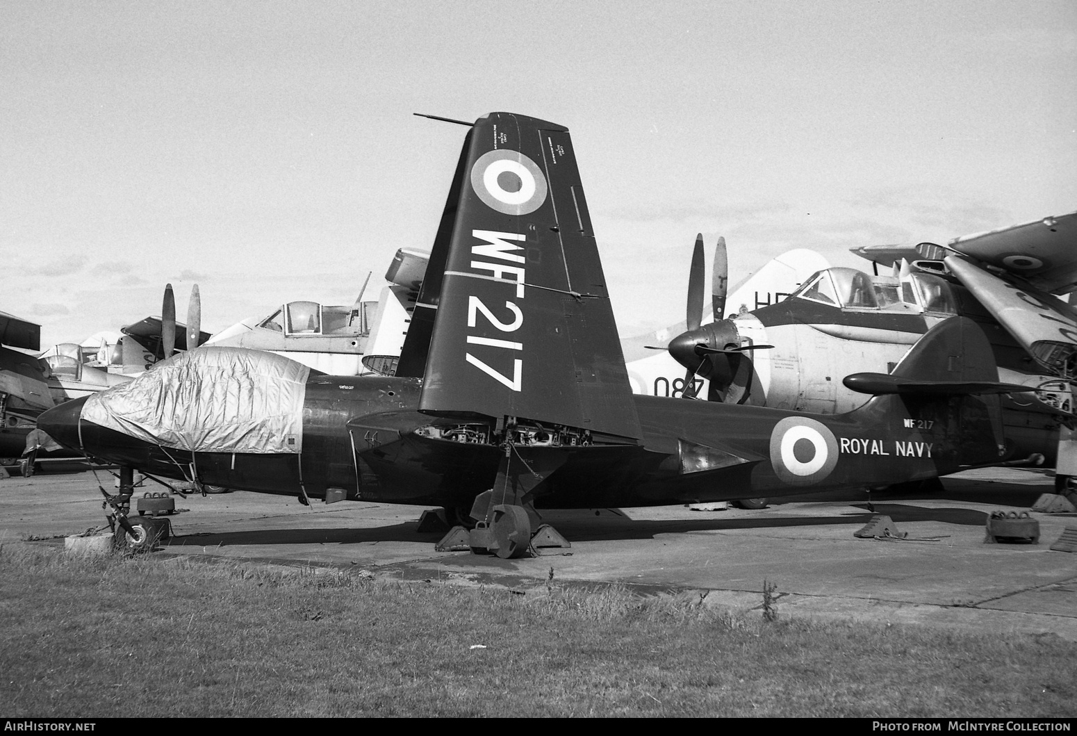 Aircraft Photo of WF217 | Hawker Sea Hawk F1 | UK - Navy | AirHistory.net #414725