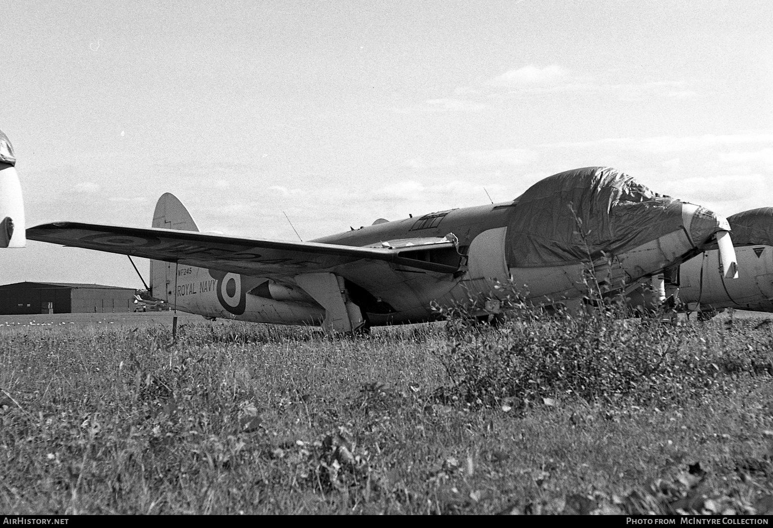 Aircraft Photo of WF245 | Hawker Sea Hawk F2 | UK - Navy | AirHistory.net #414995
