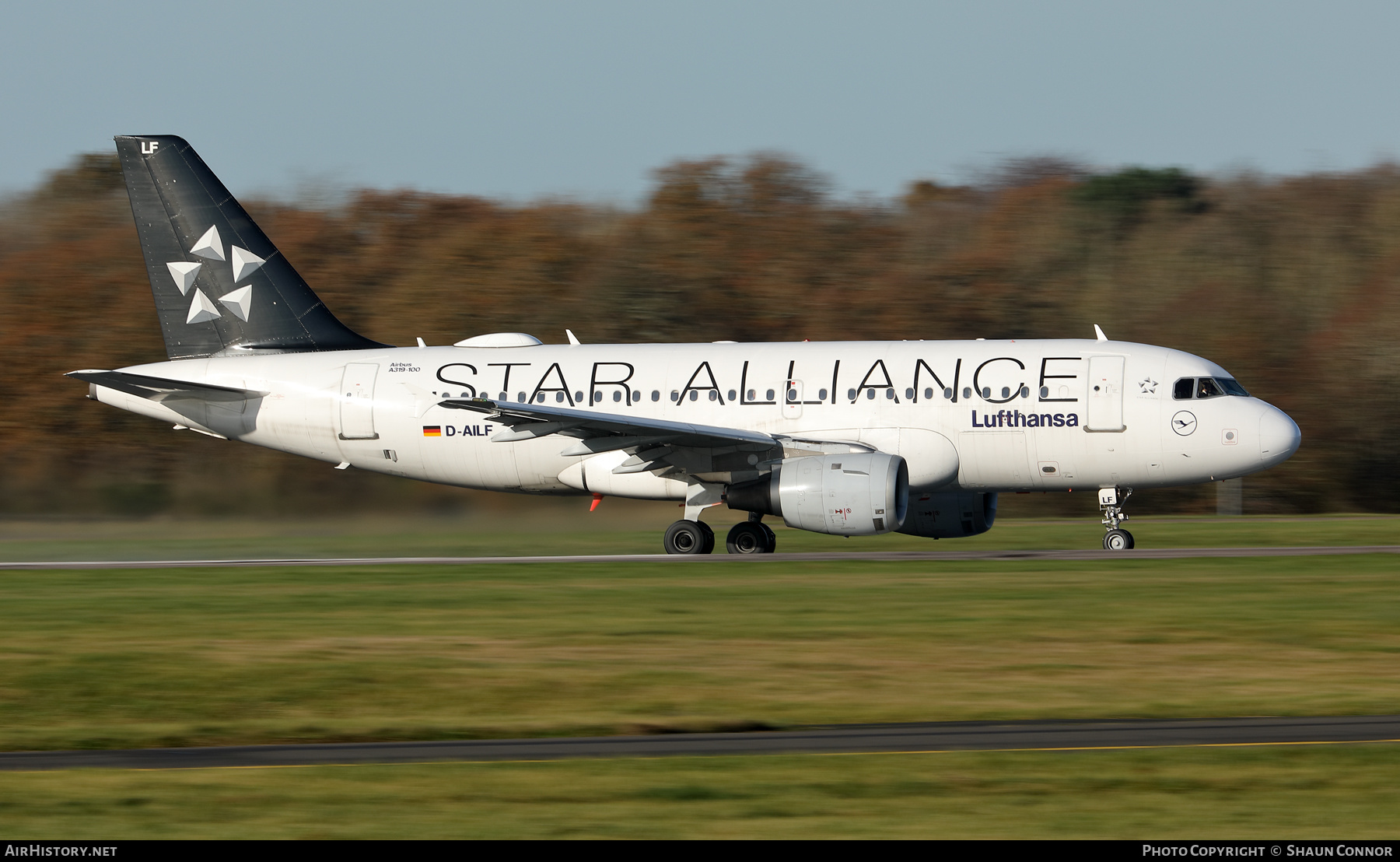 Aircraft Photo of D-AILF | Airbus A319-114 | Lufthansa | AirHistory.net #415149