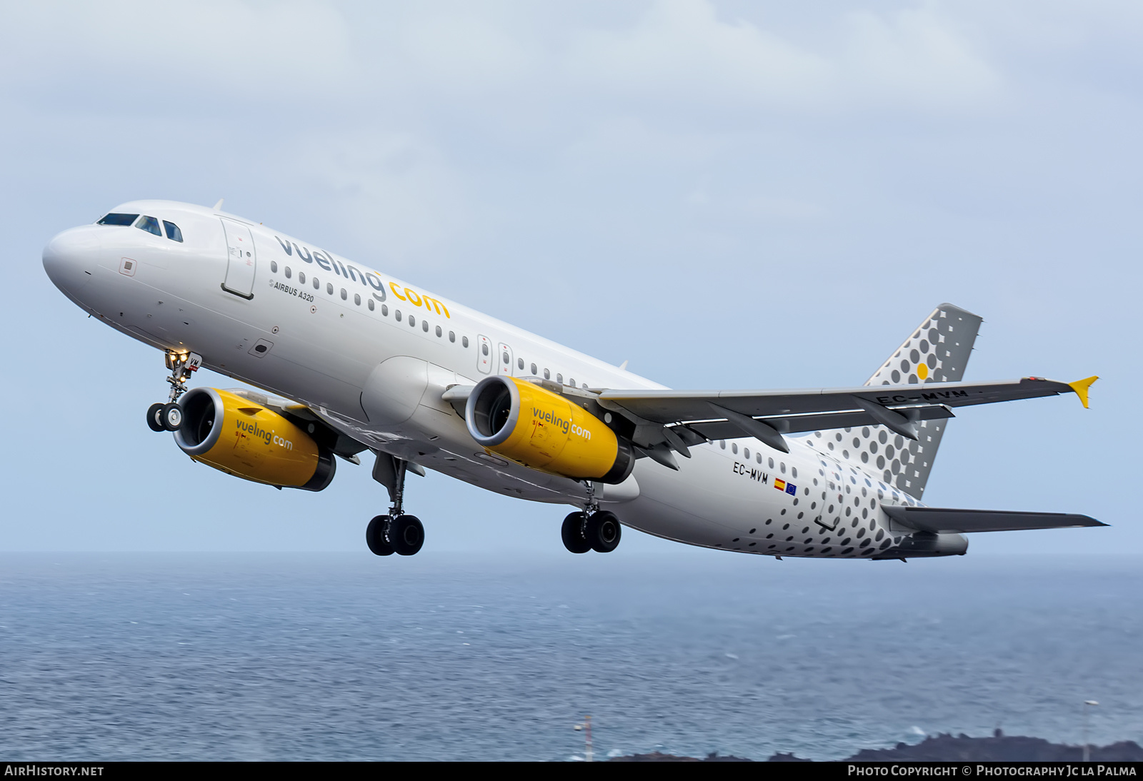 Aircraft Photo of EC-MVM | Airbus A320-232 | Vueling Airlines | AirHistory.net #415442