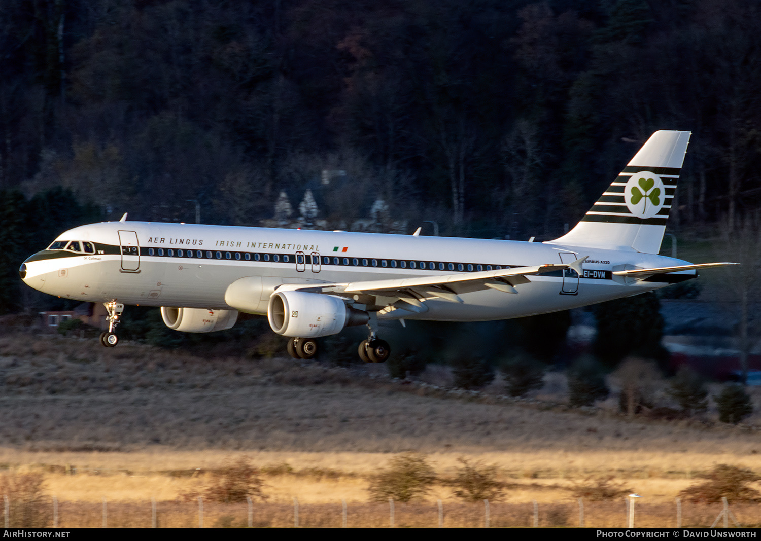 Aircraft Photo of EI-DVM | Airbus A320-214 | Aer Lingus | Aer Lingus - Irish International Airlines | AirHistory.net #416289