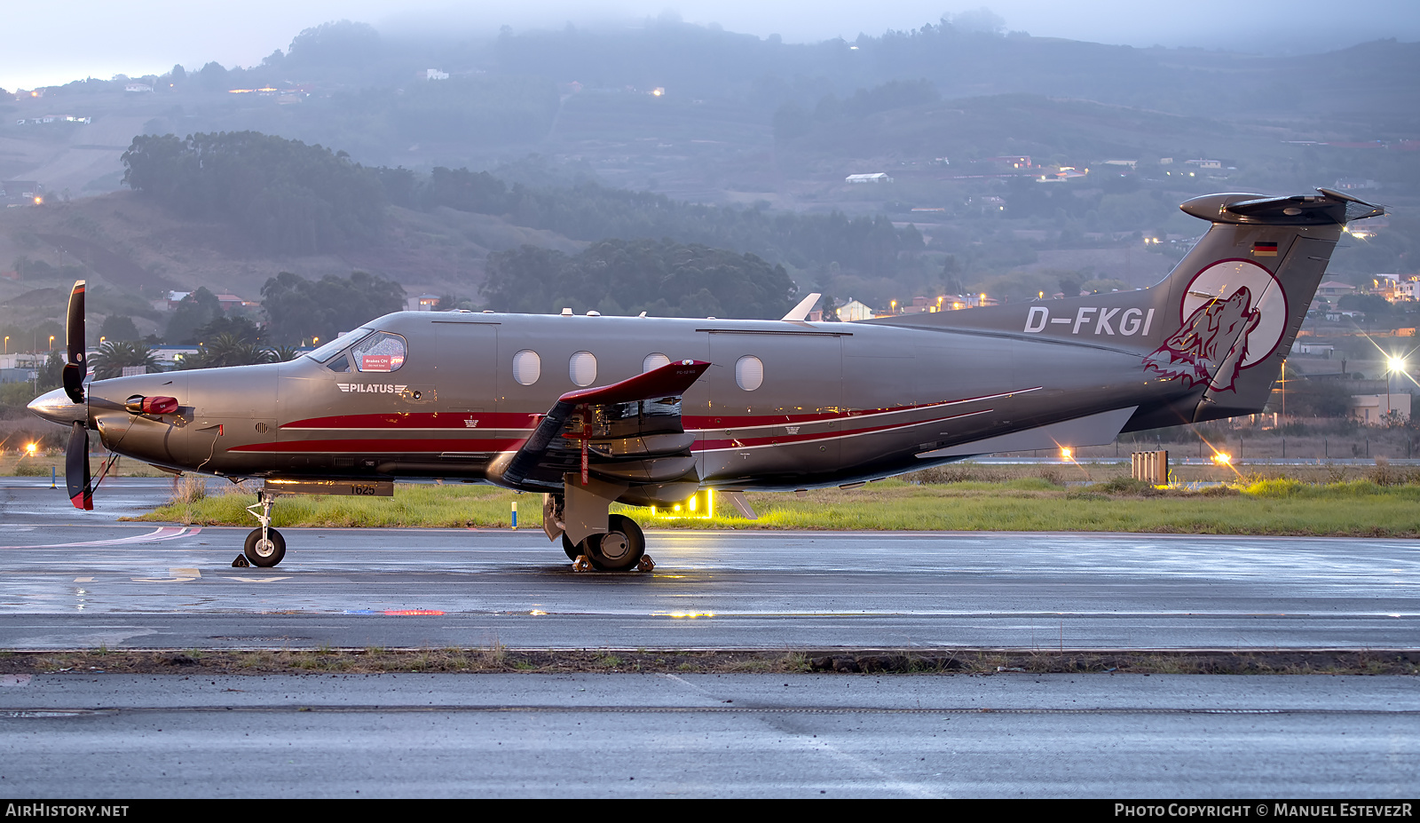 Aircraft Photo of D-FKGI | Pilatus PC-12NG (PC-12/47E) | AirHistory.net #416335