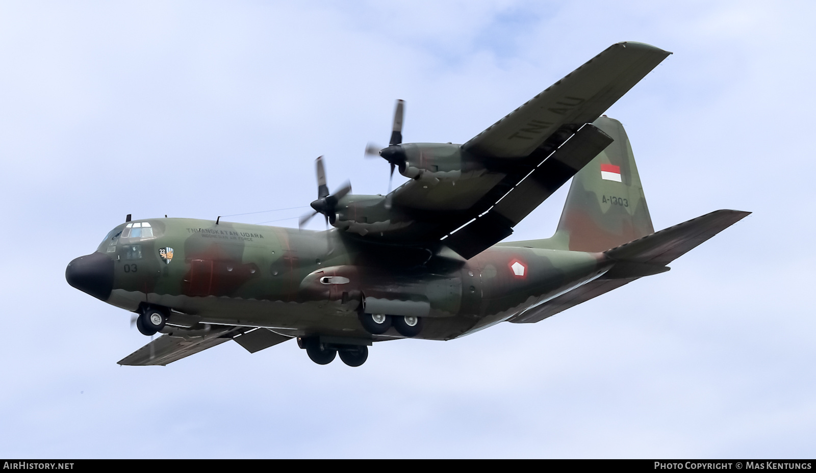 Aircraft Photo of A-1303 | Lockheed C-130B Hercules (L-282) | Indonesia - Air Force | AirHistory.net #416642