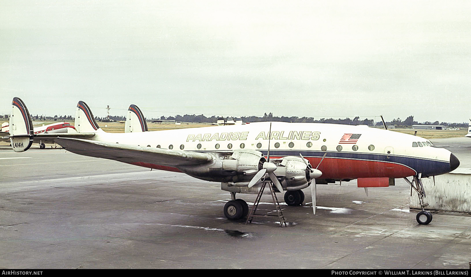 Aircraft Photo of N9414H | Lockheed L-049 Constellation | Paradise Airlines | AirHistory.net #416782