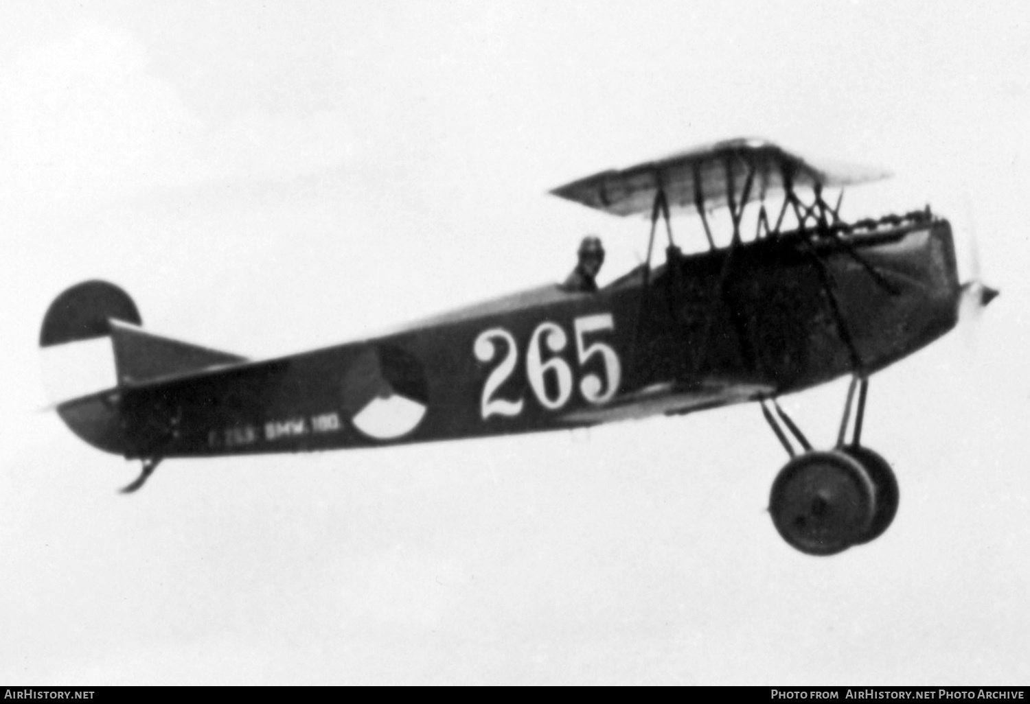 Aircraft Photo of 265 | Fokker D.VIIF | Netherlands - Air Force | AirHistory.net #416911