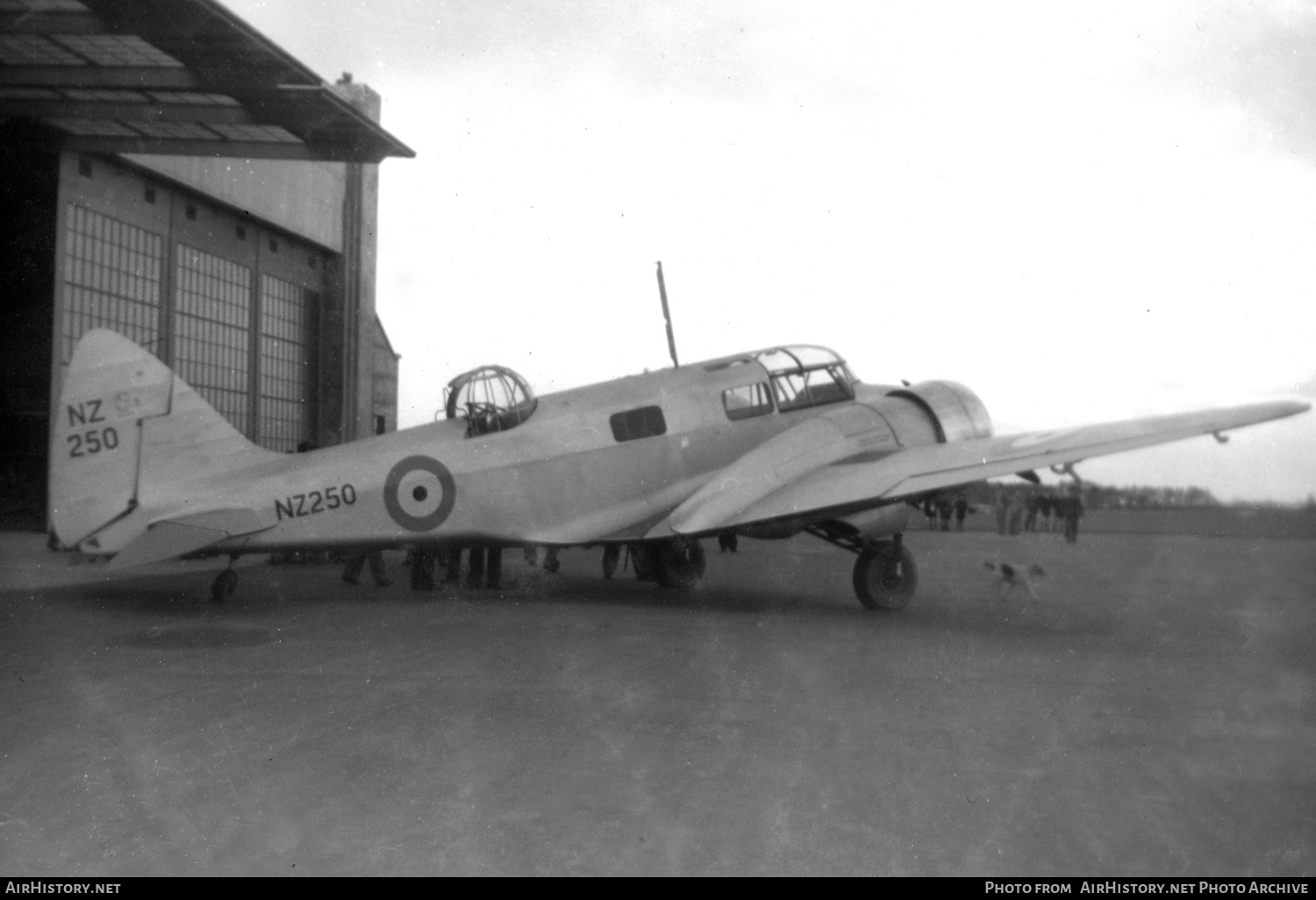 Aircraft Photo of NZ250 | Airspeed AS-42 Oxford I | New Zealand - Air Force | AirHistory.net #416962