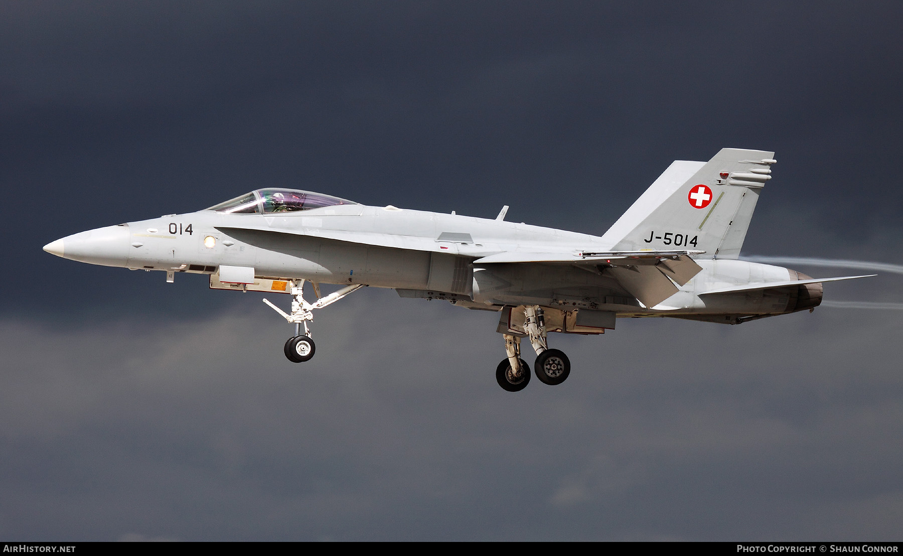 Aircraft Photo of J-5014 | McDonnell Douglas F/A-18C Hornet | Switzerland - Air Force | AirHistory.net #419247