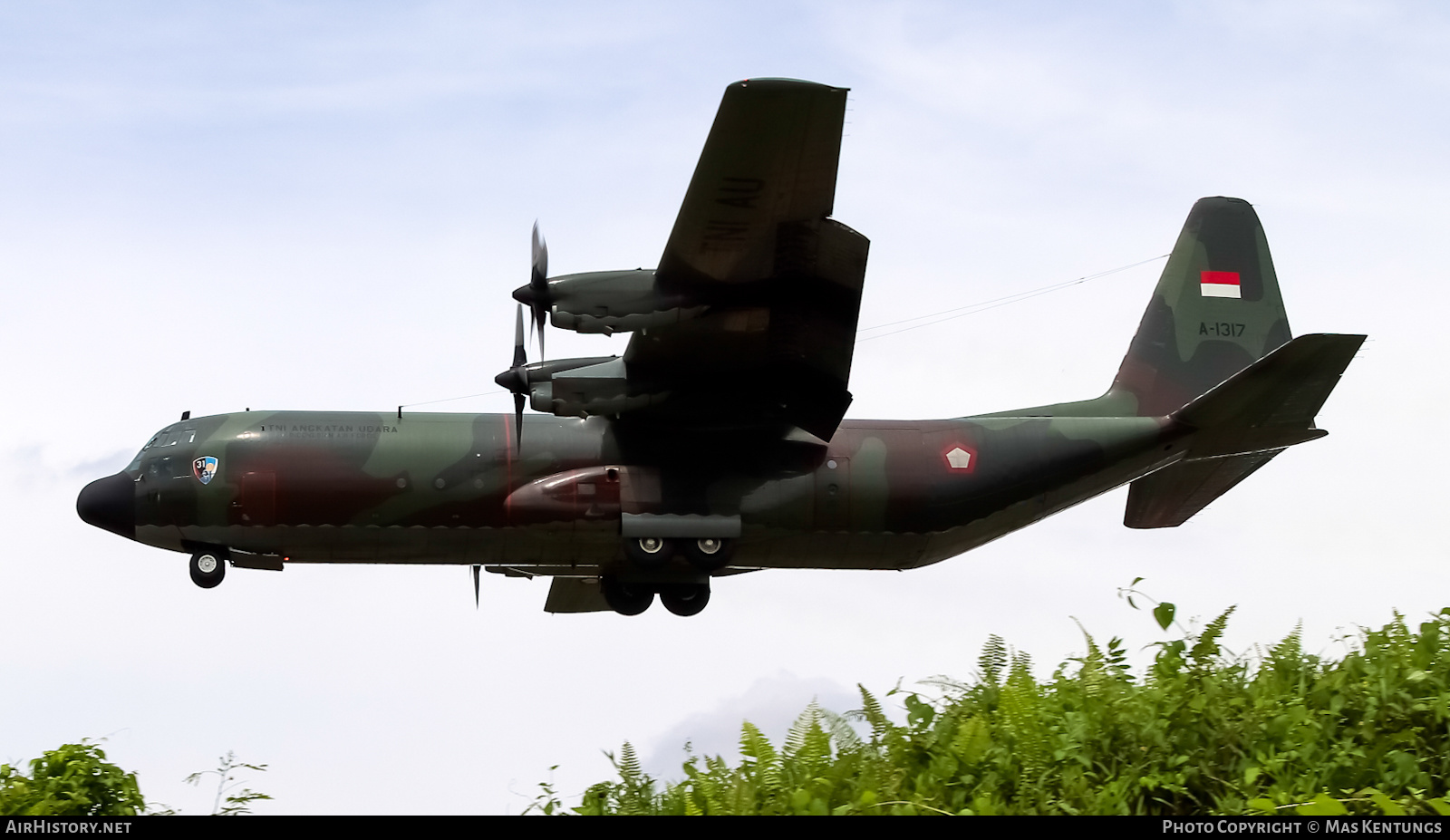 Aircraft Photo of A-1317 | Lockheed C-130H-30 Hercules (L-382) | Indonesia - Air Force | AirHistory.net #419747