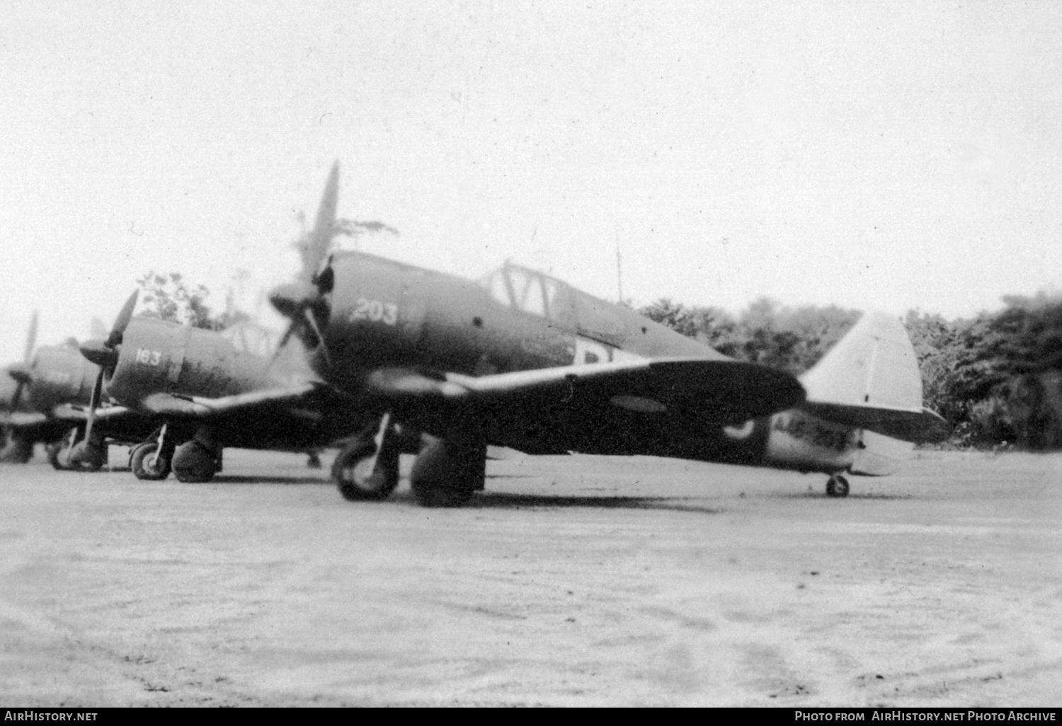 Aircraft Photo of A46-203 | Commonwealth CA-19 Boomerang | New Zealand - Air Force | AirHistory.net #420714