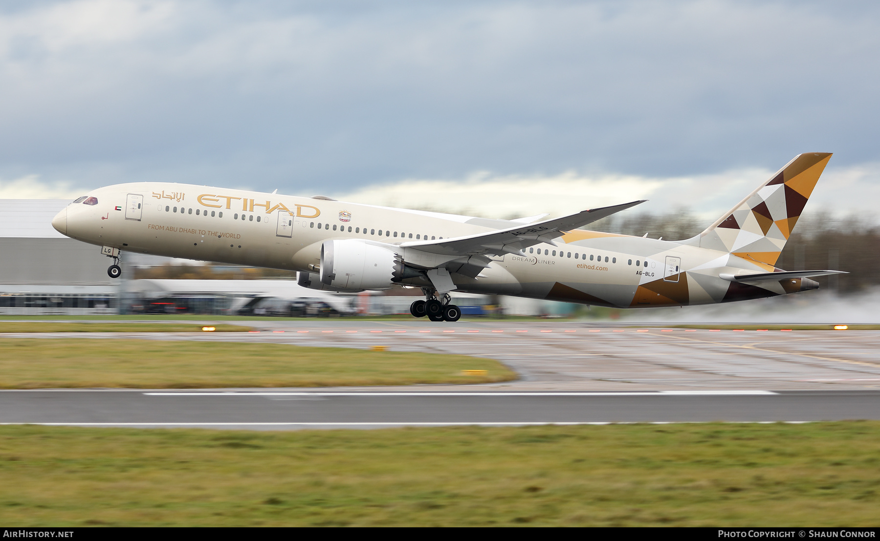 Aircraft Photo of A6-BLG | Boeing 787-9 Dreamliner | Etihad Airways | AirHistory.net #420806