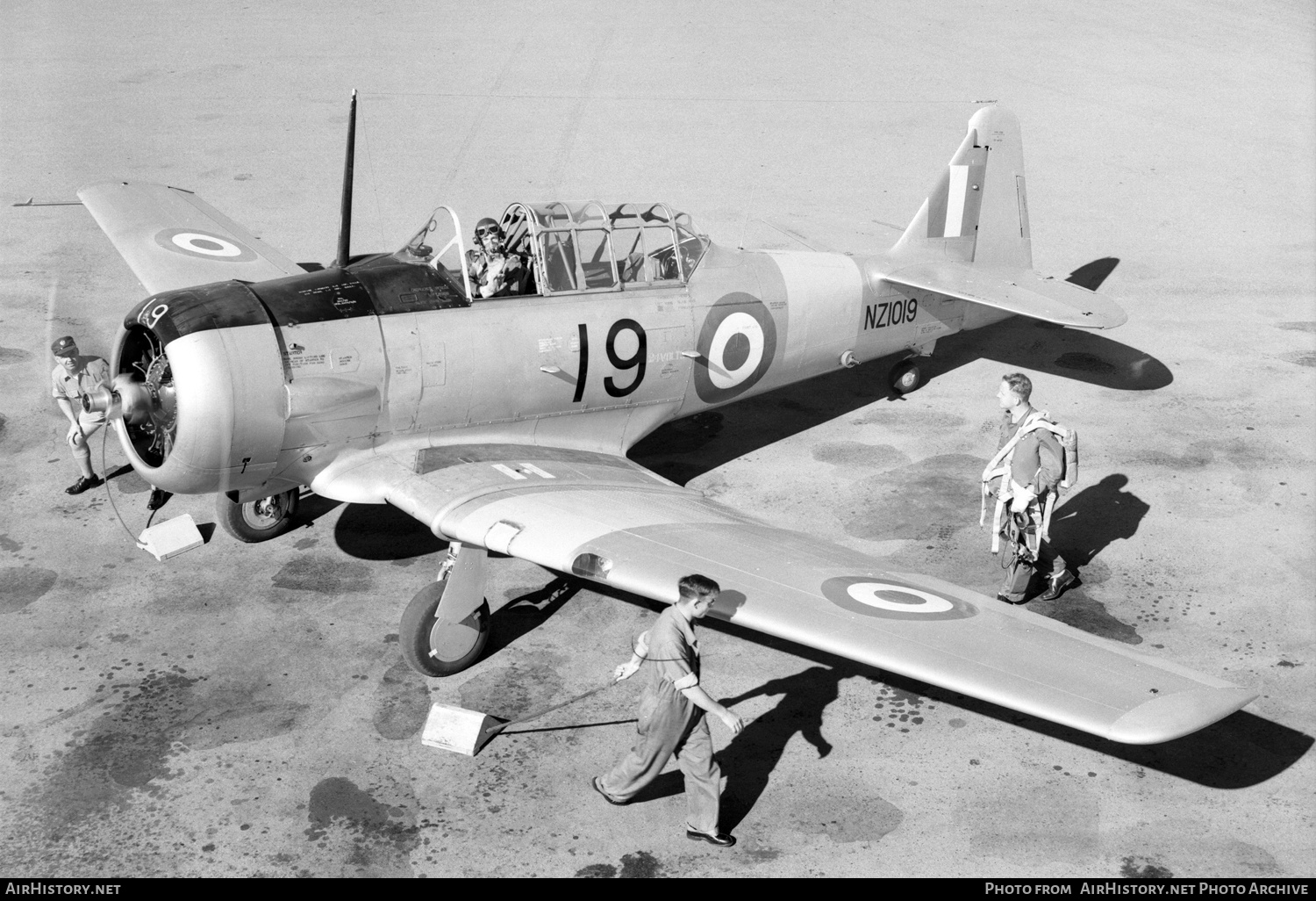 Aircraft Photo of NZ1019 | North American AT-6C Harvard IIA | New Zealand - Air Force | AirHistory.net #420977