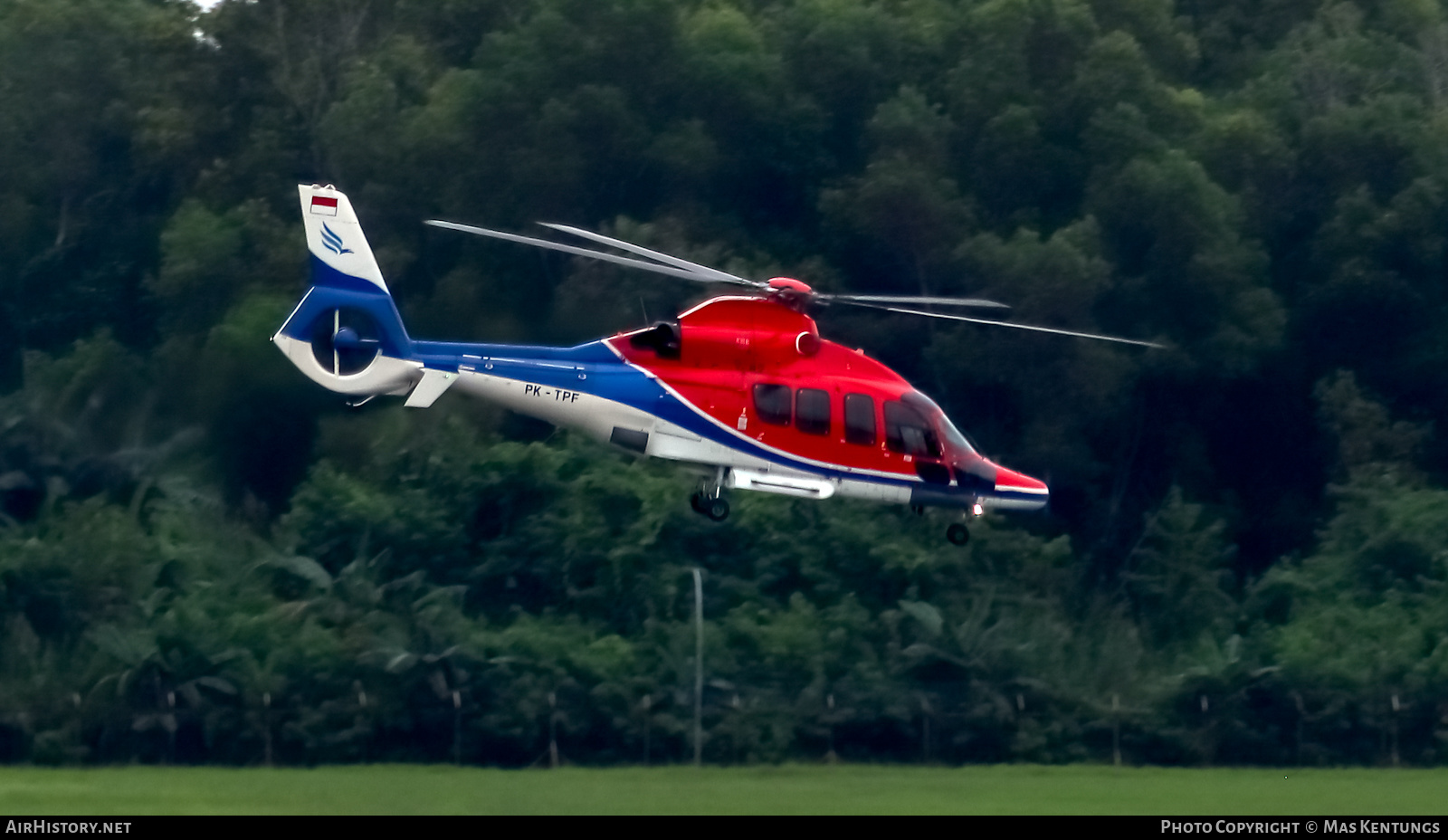 Aircraft Photo of PK-TPF | Eurocopter EC-155B-1 | Indonesia Air Transport - IAT | AirHistory.net #421646