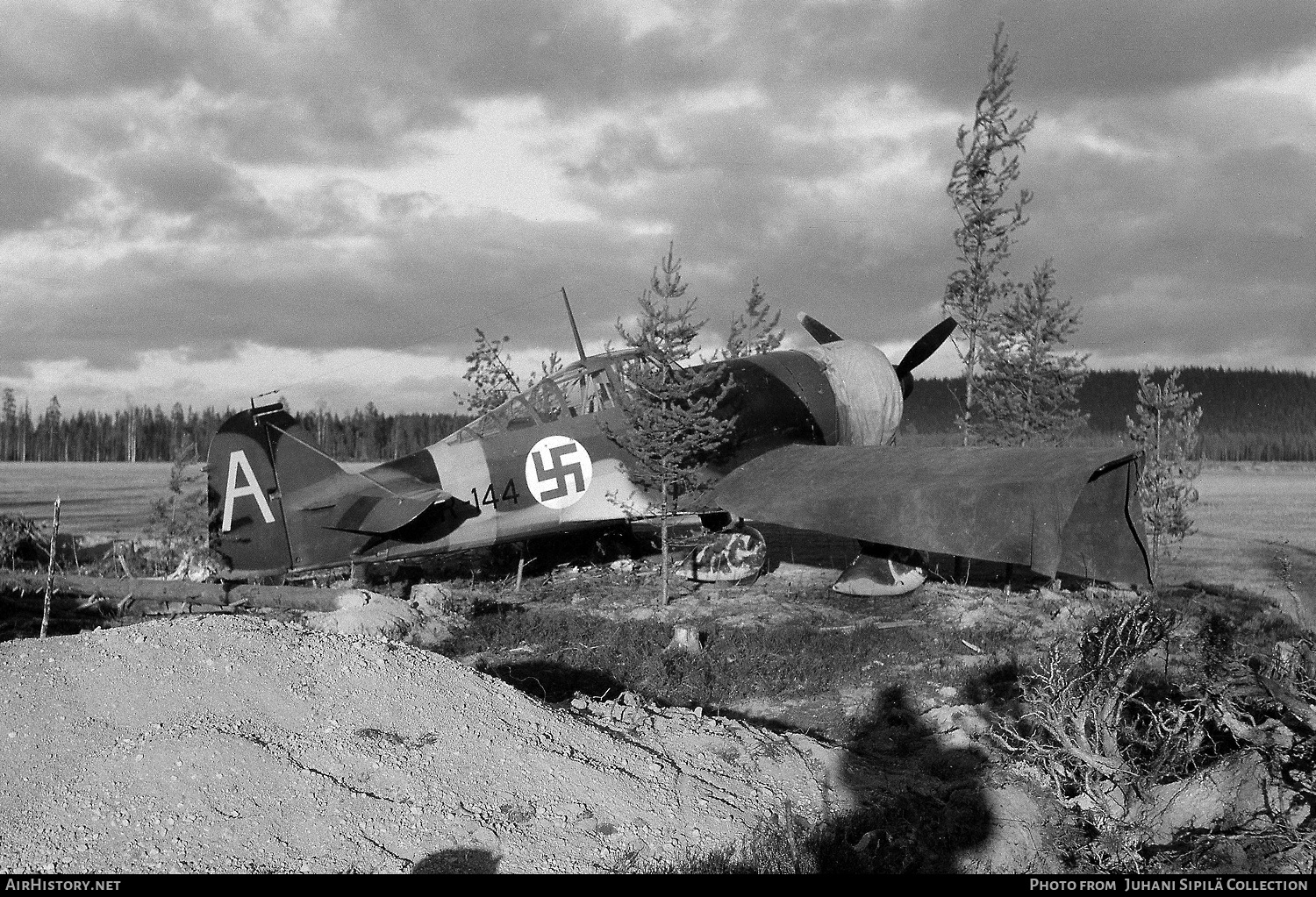 Aircraft Photo of FR-144 | Fokker D.XXI | Finland - Air Force | AirHistory.net #422228