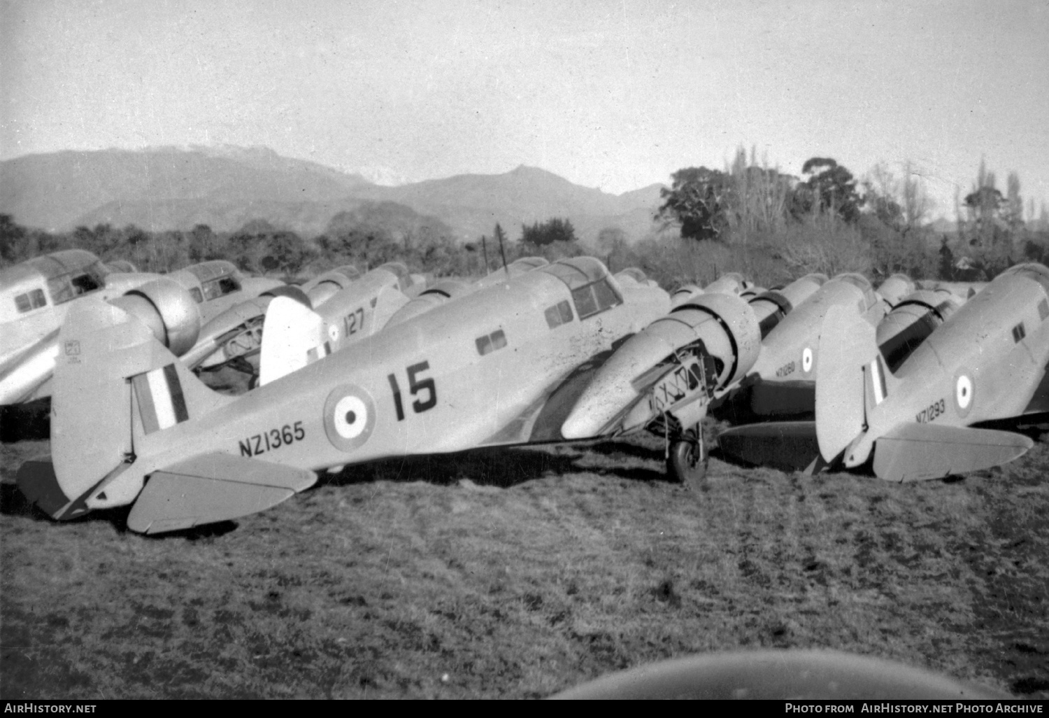 Aircraft Photo of NZ1365 | Airspeed AS-10 Oxford II | New Zealand - Air Force | AirHistory.net #423384