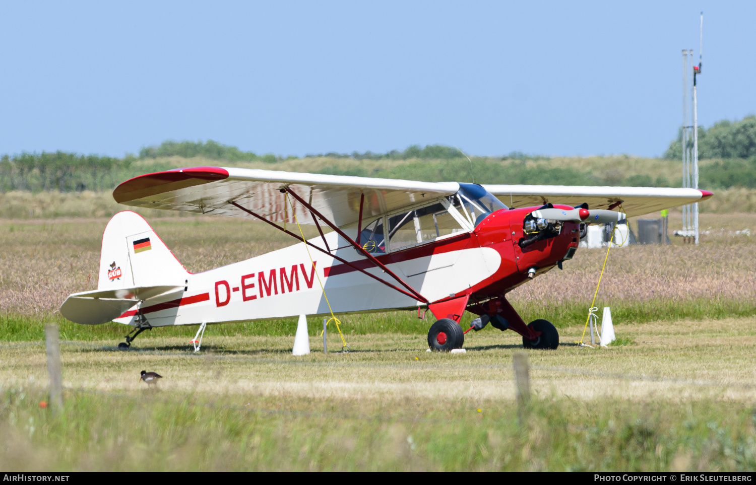 Aircraft Photo of D-EMMV | Piper J-3C-65 Cub | AirHistory.net #424261