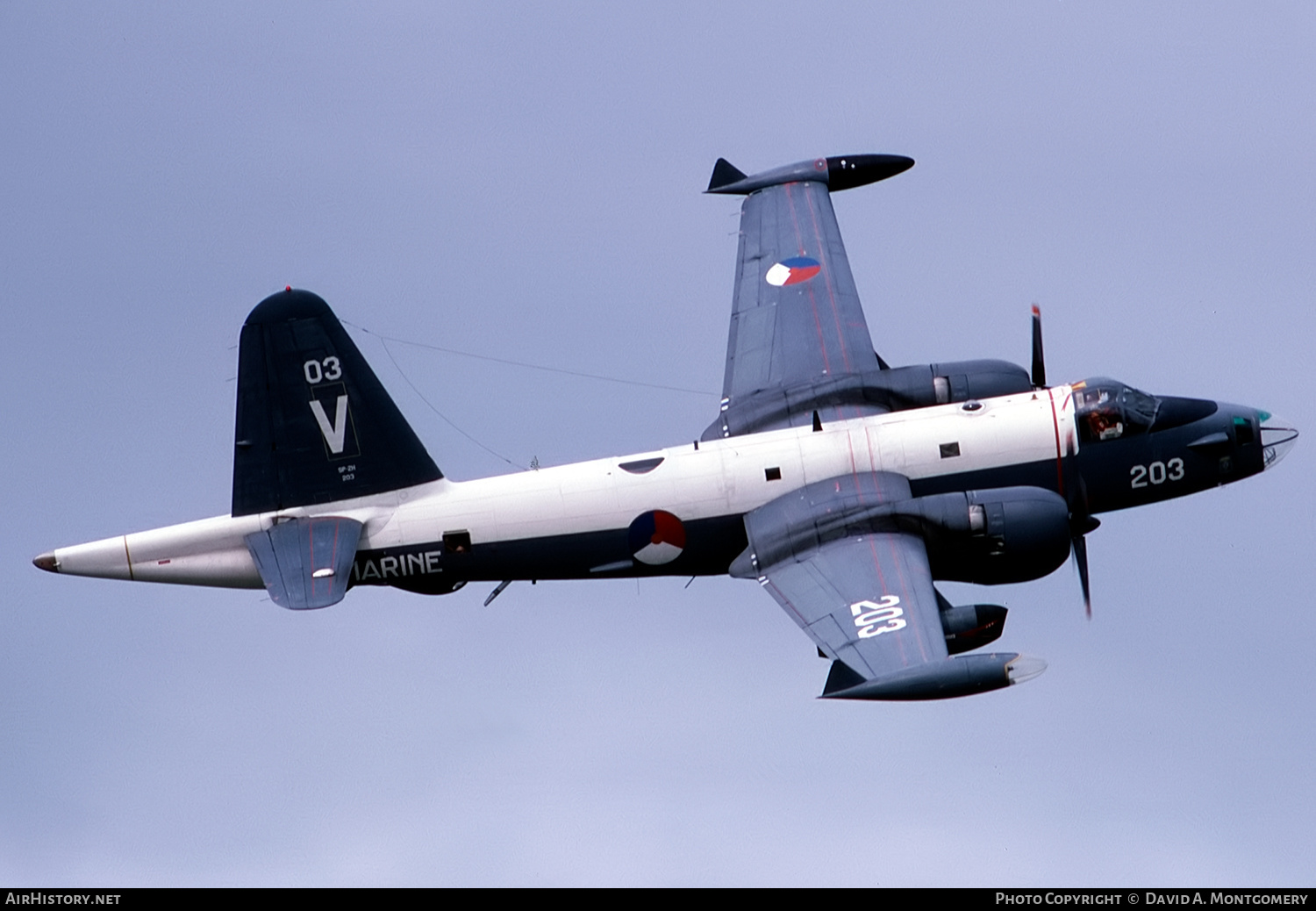 Aircraft Photo of 203 | Lockheed SP-2H Neptune | Netherlands - Navy | AirHistory.net #424973