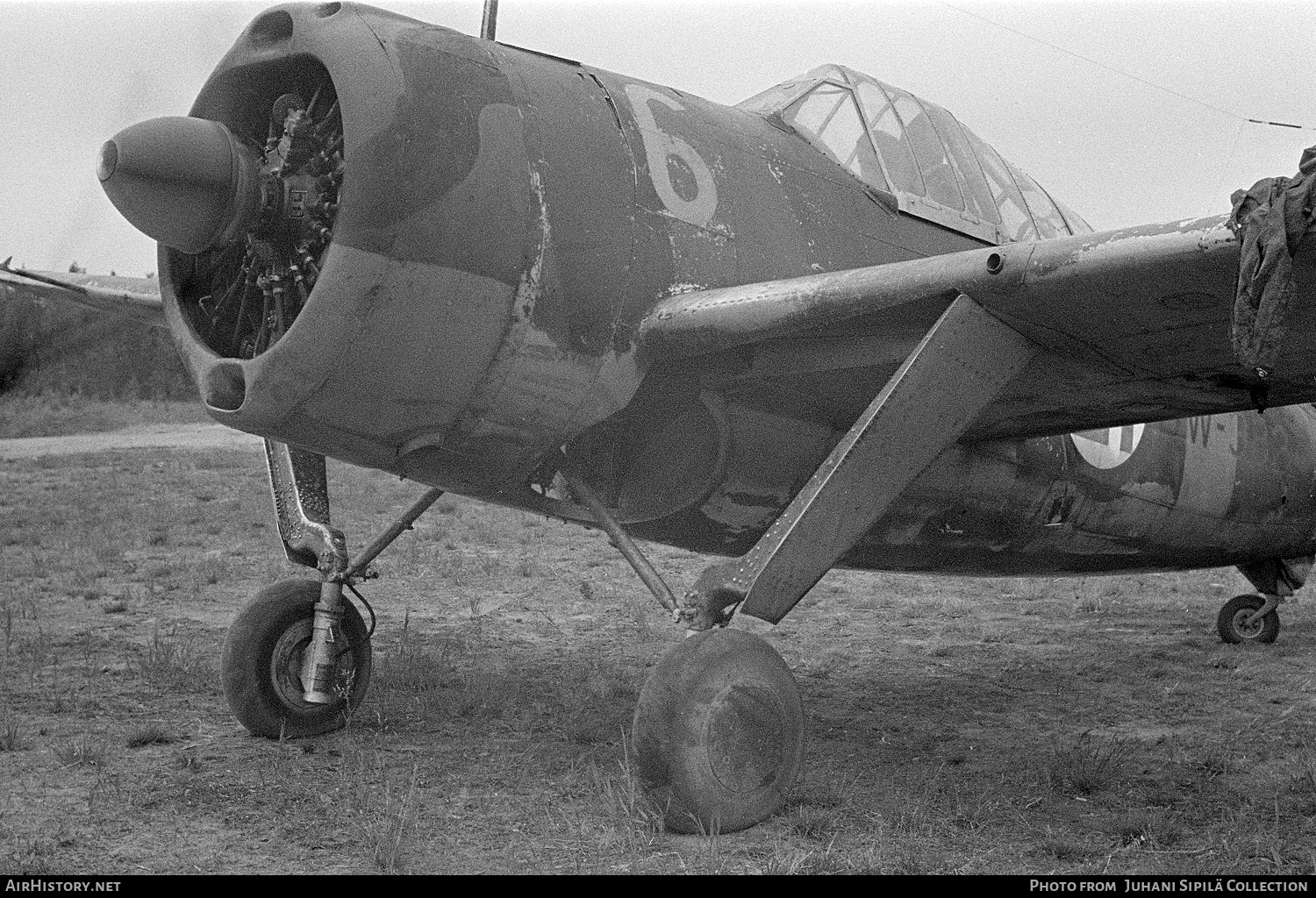 Aircraft Photo of BW-382 | Brewster B-239 Buffalo | Finland - Air Force | AirHistory.net #429797