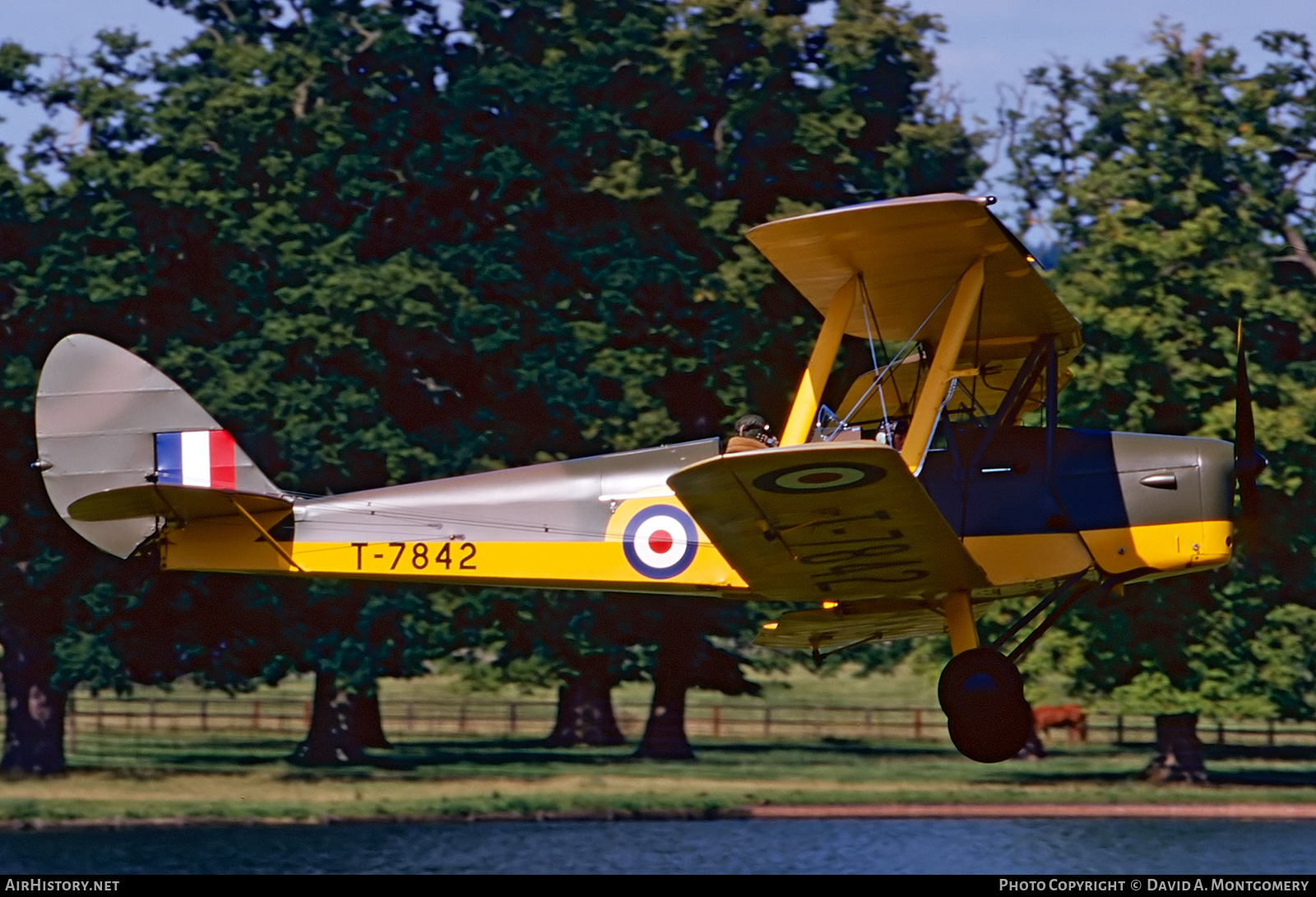 Aircraft Photo of G-AMTF / T-7842 | De Havilland D.H. 82A Tiger Moth II | UK - Air Force | AirHistory.net #430695