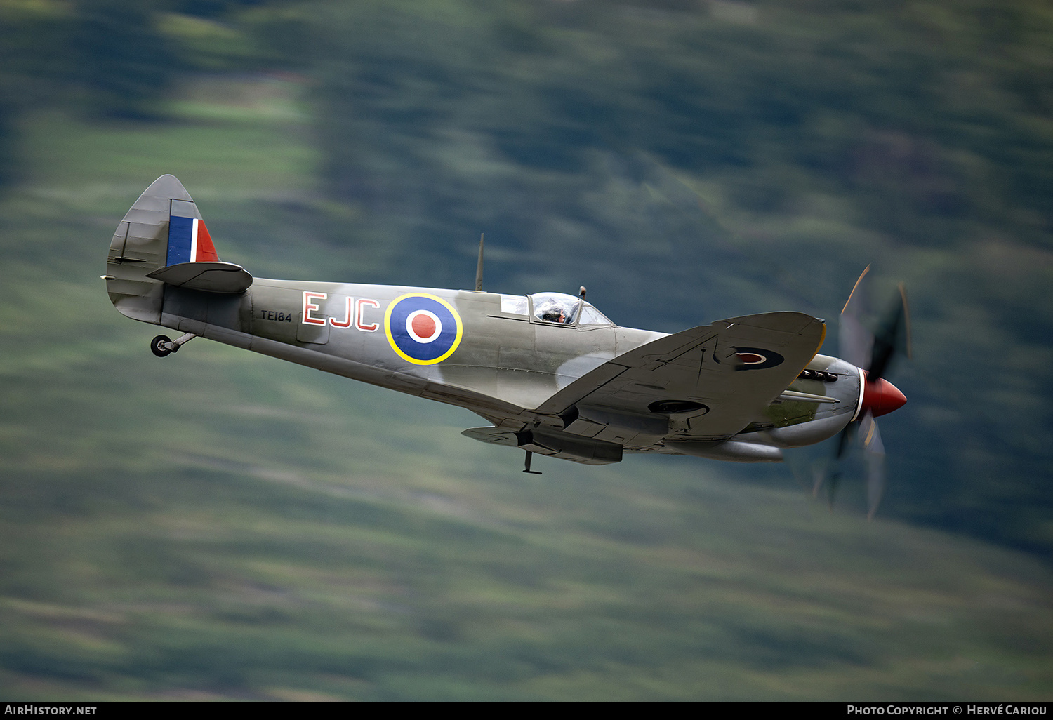 Aircraft Photo of TE184 / G-MXVI | Supermarine 361 Spitfire LF16E | AirHistory.net #431974