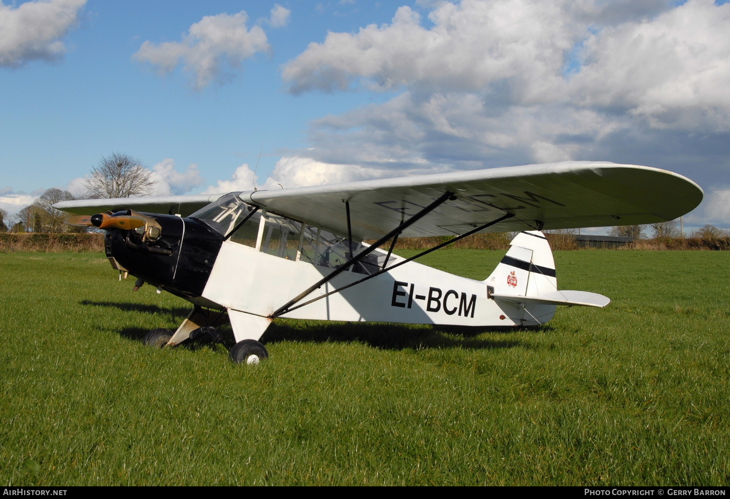 Aircraft Photo of EI-BCM | Piper J-3C-65 Cub | AirHistory.net #433754