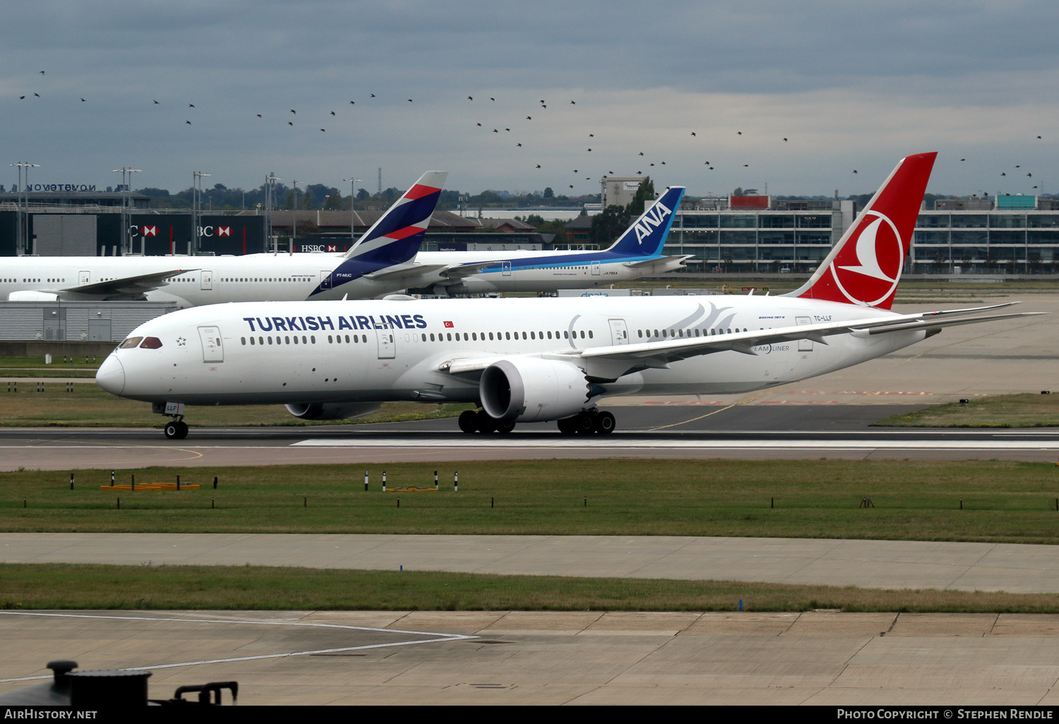 Aircraft Photo of TC-LLF | Boeing 787-9 Dreamliner | Turkish Airlines | AirHistory.net #433765