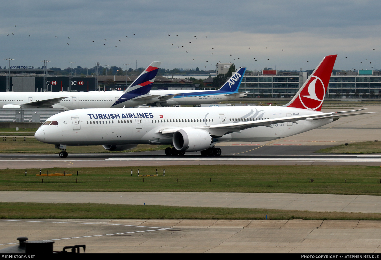 Aircraft Photo of TC-LLF | Boeing 787-9 Dreamliner | Turkish Airlines | AirHistory.net #433765
