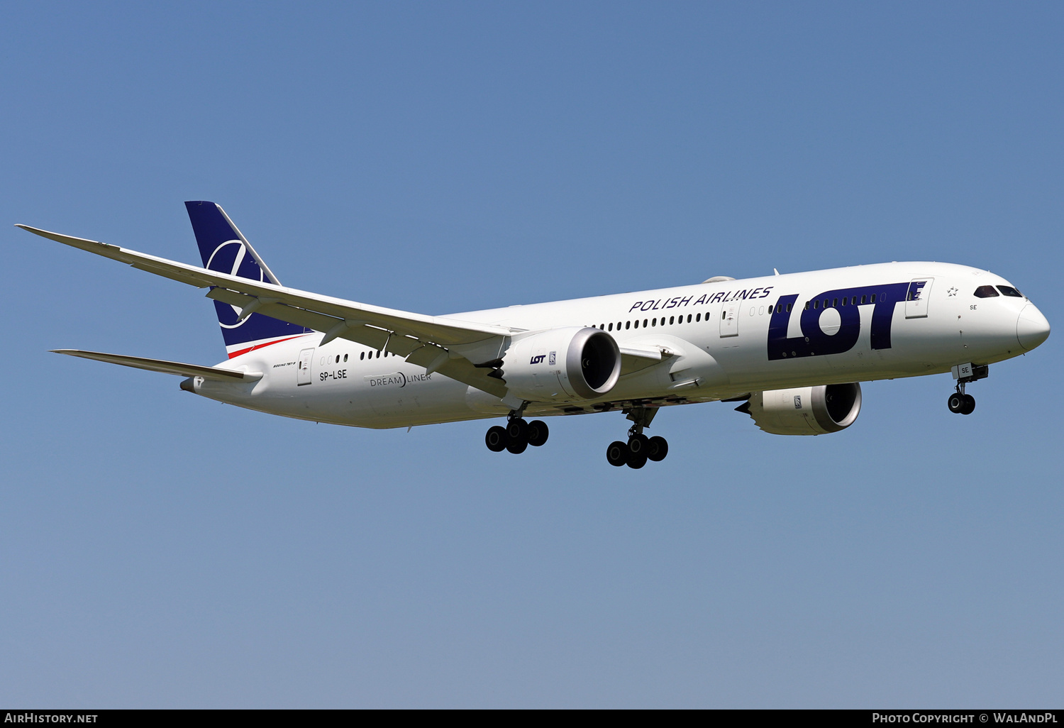 Aircraft Photo of SP-LSE | Boeing 787-9 Dreamliner | LOT Polish Airlines - Polskie Linie Lotnicze | AirHistory.net #433823