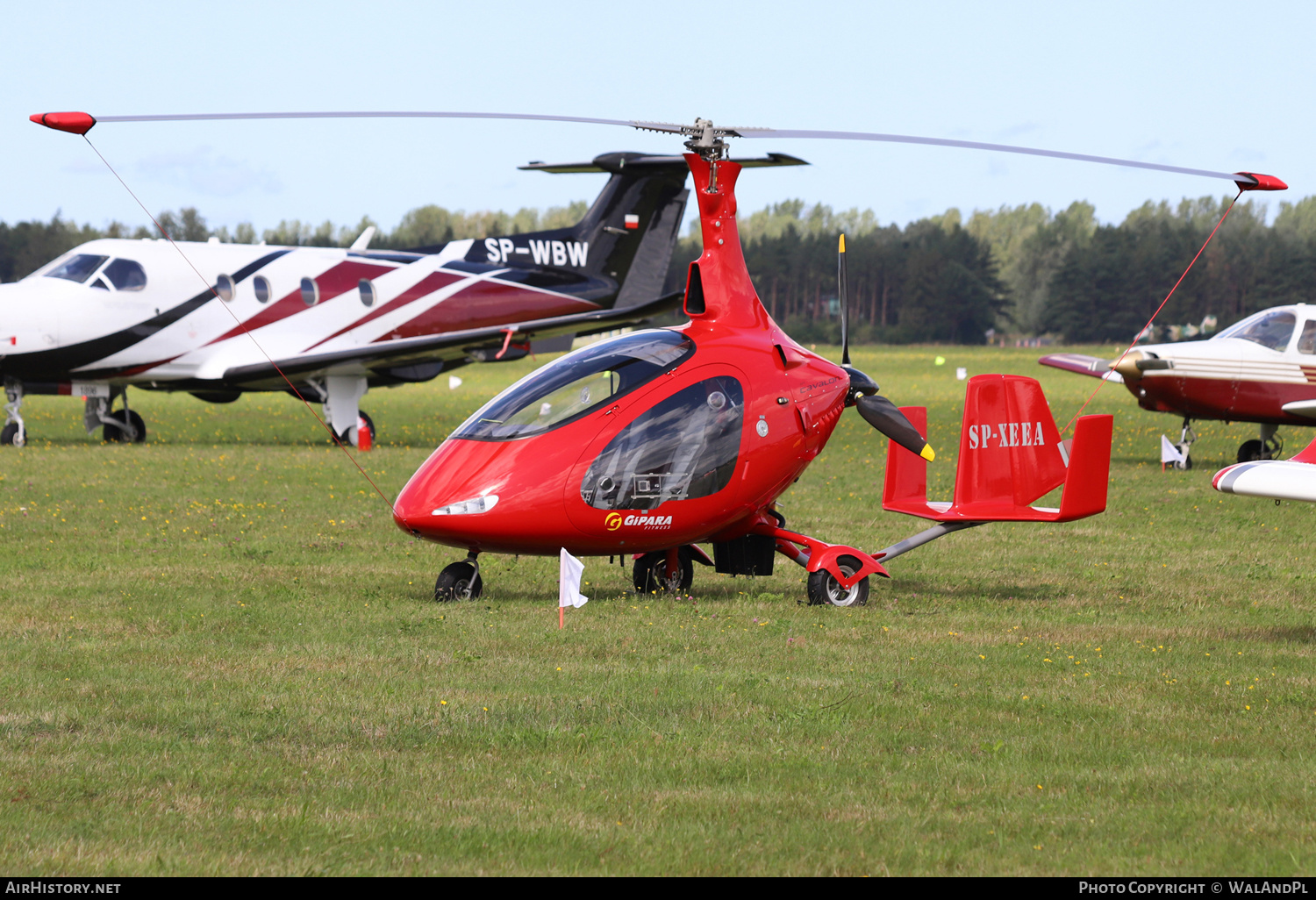 Aircraft Photo of SP-XEEA | AutoGyro Cavalon | AirHistory.net #434517