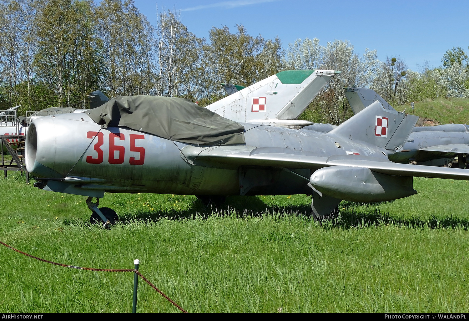 Aircraft Photo of 365 | PZL-Mielec Lim-2 (MiG-15bis) | Poland - Air Force | AirHistory.net #436962