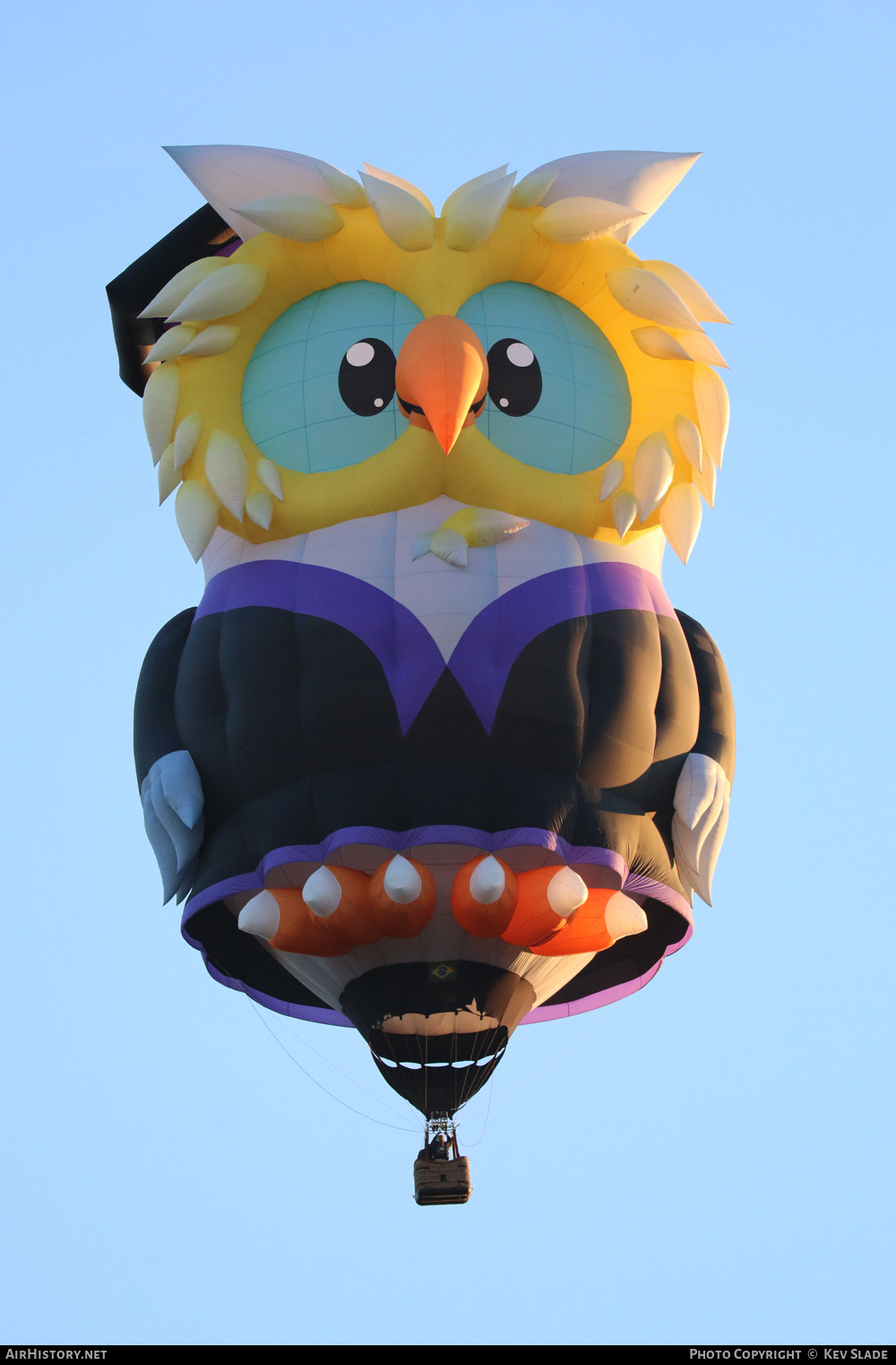 Aircraft Photo of N470WL | RVB Balloons Owl SS | AirHistory.net #438740