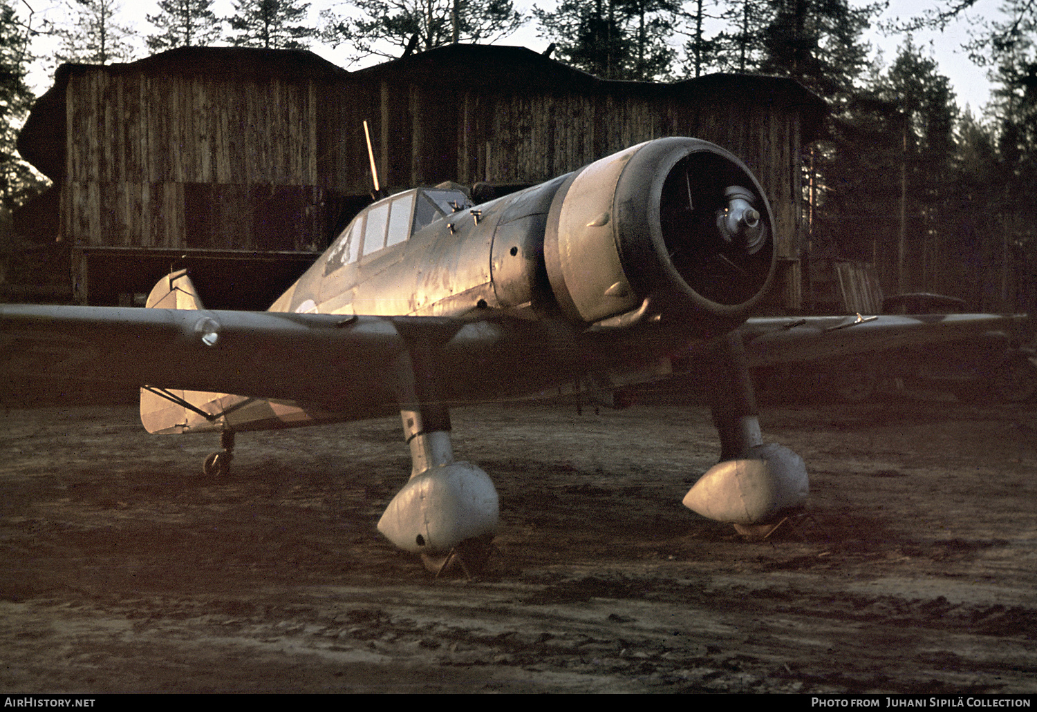 Aircraft Photo of FR-83 | Fokker D.XXI | Finland - Air Force | AirHistory.net #439065